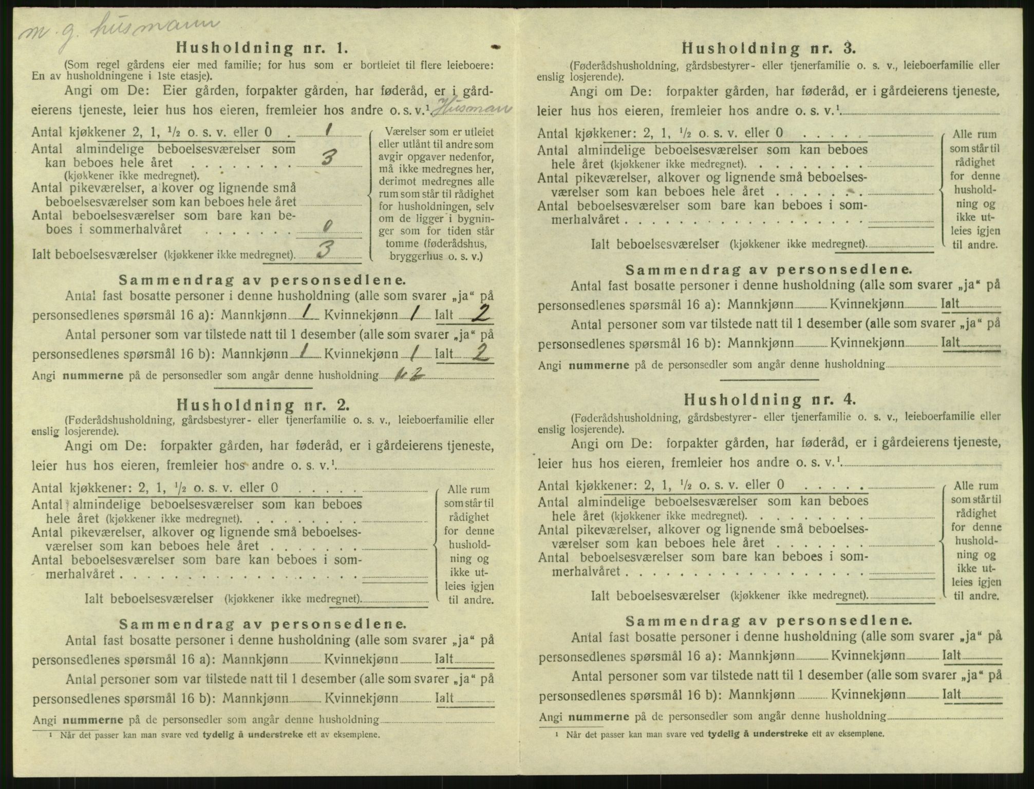 SAT, 1920 census for Surnadal, 1920, p. 300