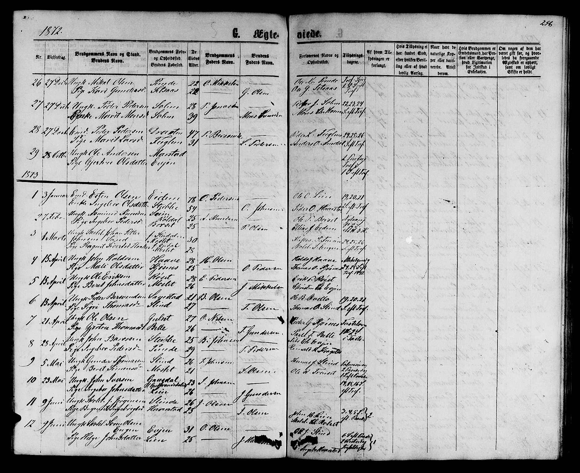 Ministerialprotokoller, klokkerbøker og fødselsregistre - Sør-Trøndelag, SAT/A-1456/695/L1156: Parish register (copy) no. 695C07, 1869-1888, p. 256