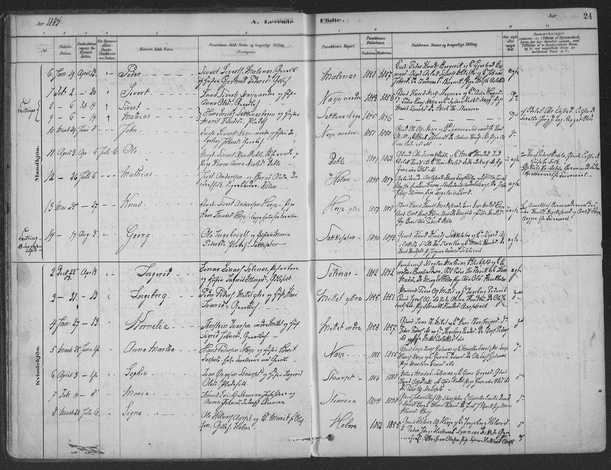 Ministerialprotokoller, klokkerbøker og fødselsregistre - Møre og Romsdal, AV/SAT-A-1454/547/L0604: Parish register (official) no. 547A06, 1878-1906, p. 24