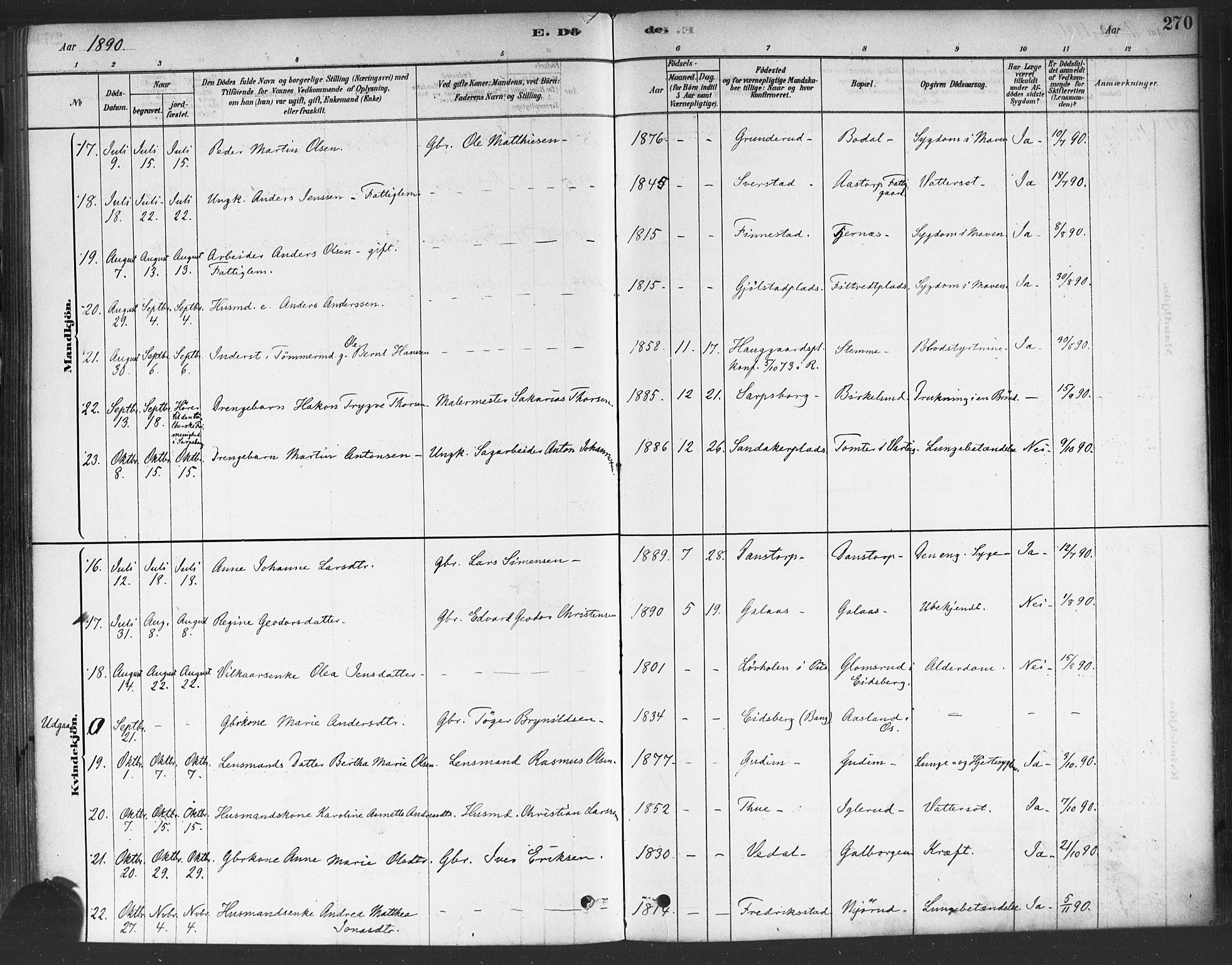 Rakkestad prestekontor Kirkebøker, AV/SAO-A-2008/F/Fa/L0012: Parish register (official) no. I 12, 1878-1893, p. 270