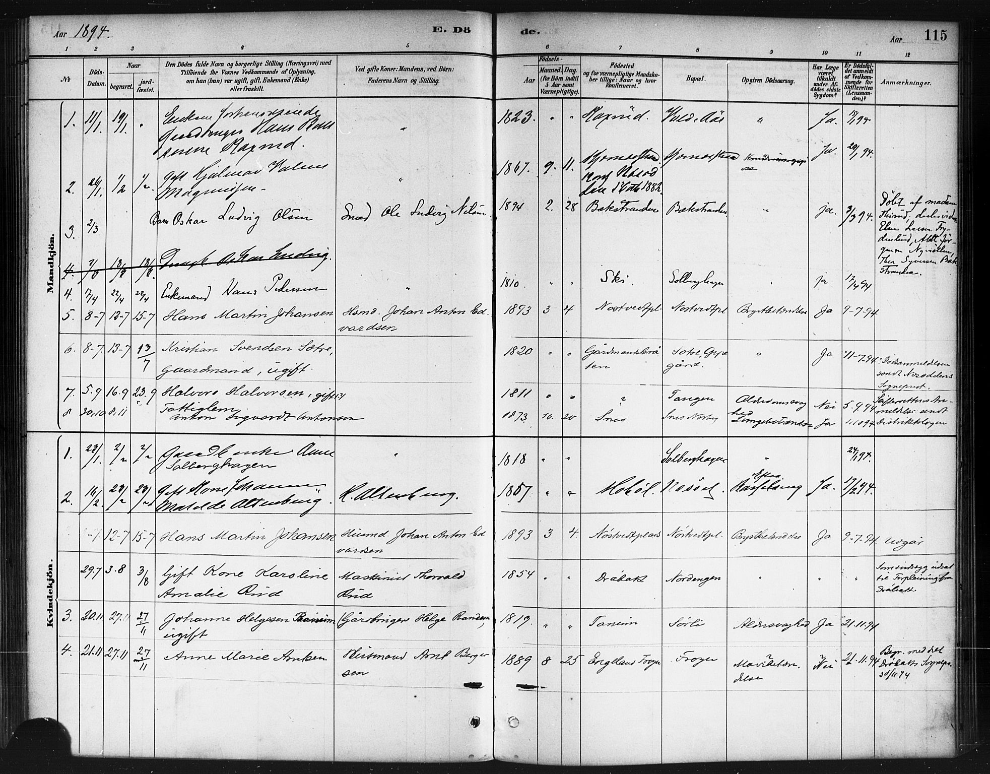 Ås prestekontor Kirkebøker, SAO/A-10894/F/Fb/L0001: Parish register (official) no. II 1, 1881-1895, p. 115