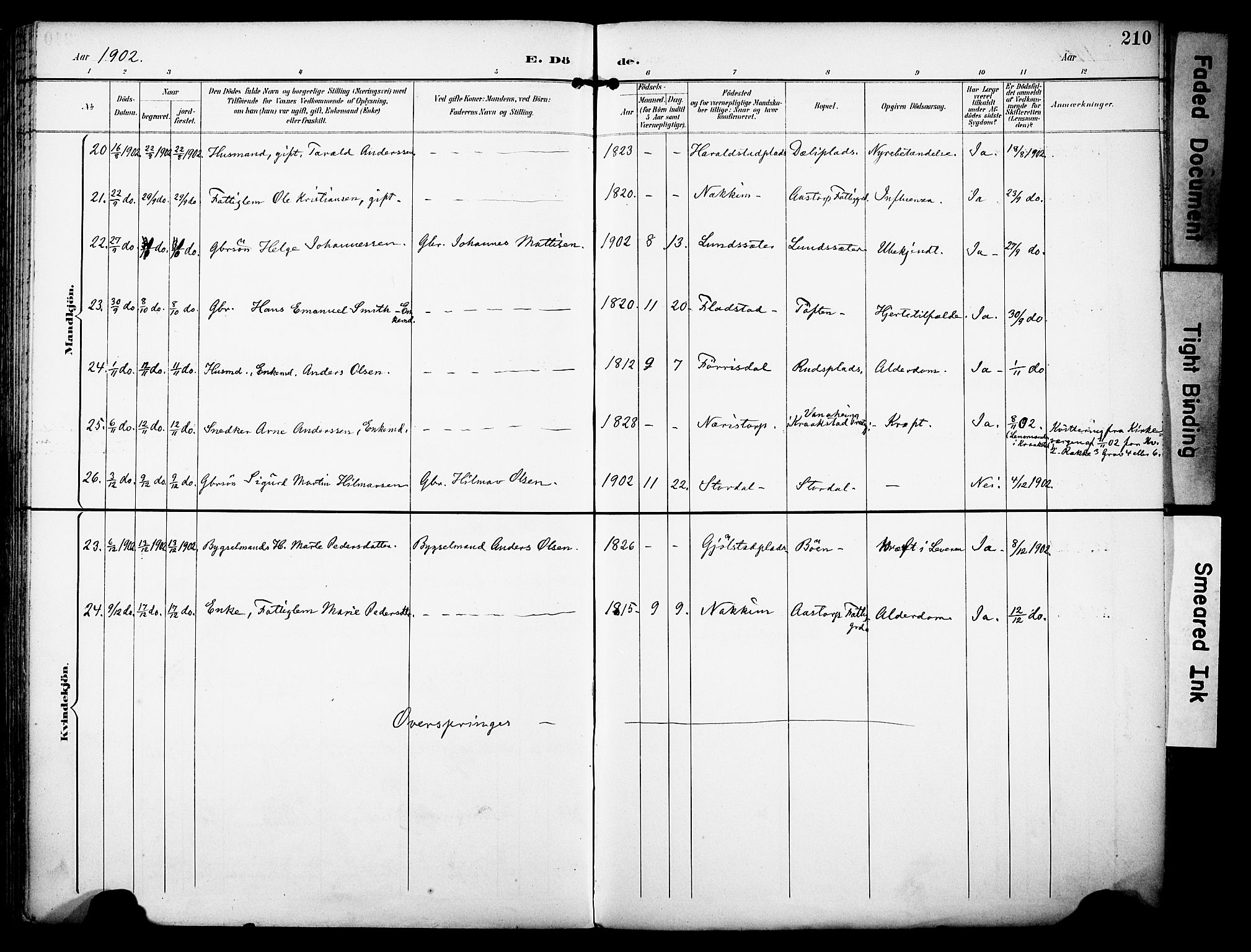 Rakkestad prestekontor Kirkebøker, AV/SAO-A-2008/F/Fa/L0013: Parish register (official) no. I 13, 1894-1908, p. 210