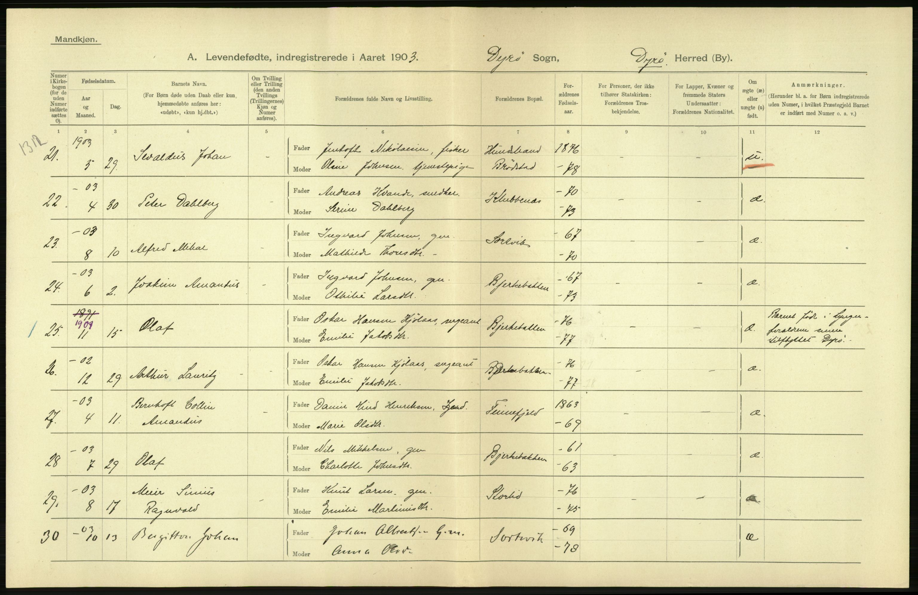 Statistisk sentralbyrå, Sosiodemografiske emner, Befolkning, AV/RA-S-2228/D/Df/Dfa/Dfaa/L0021: Tromsø amt: Fødte, gifte, døde., 1903, p. 18