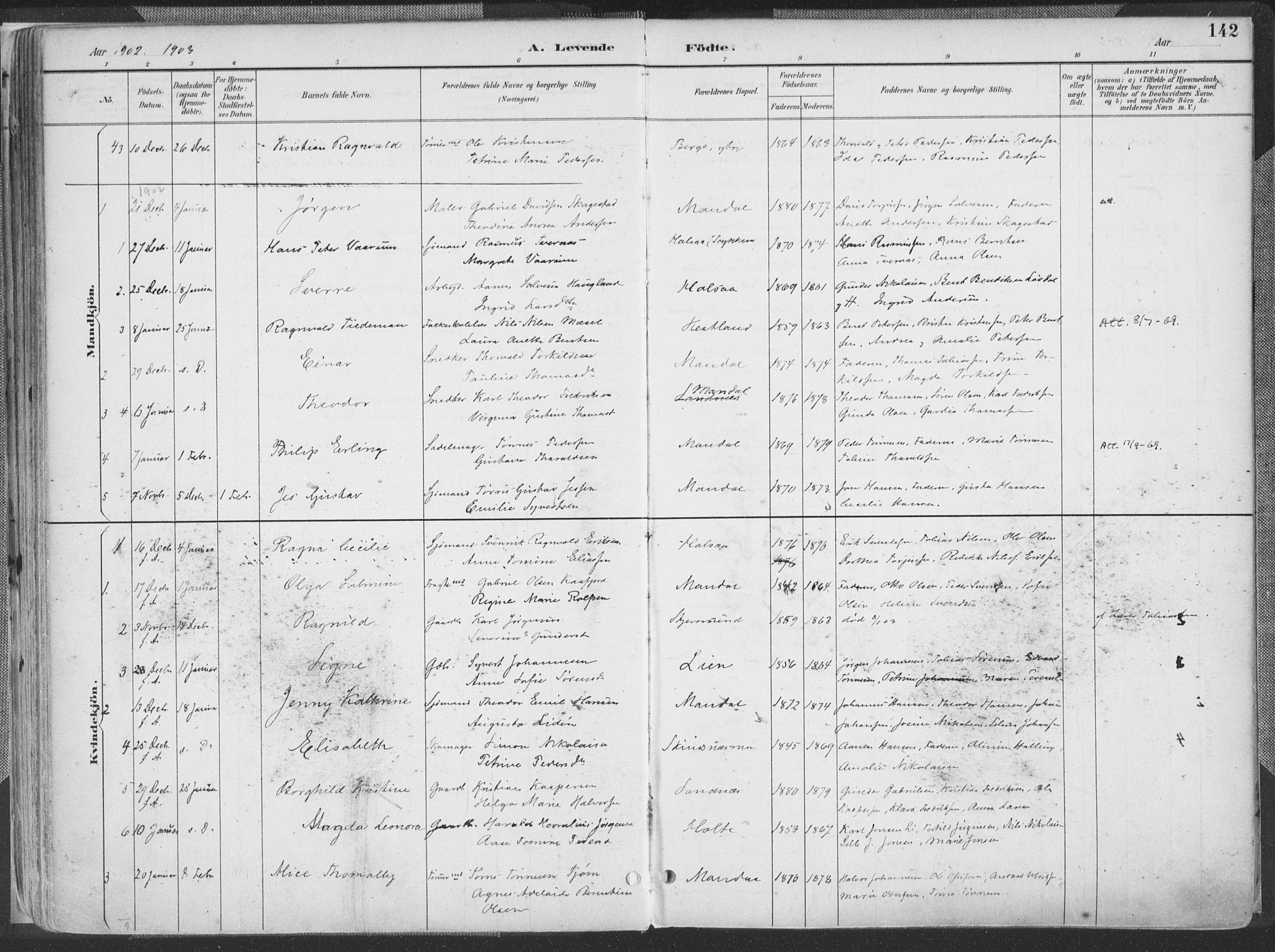 Mandal sokneprestkontor, SAK/1111-0030/F/Fa/Faa/L0018: Parish register (official) no. A 18, 1890-1905, p. 142