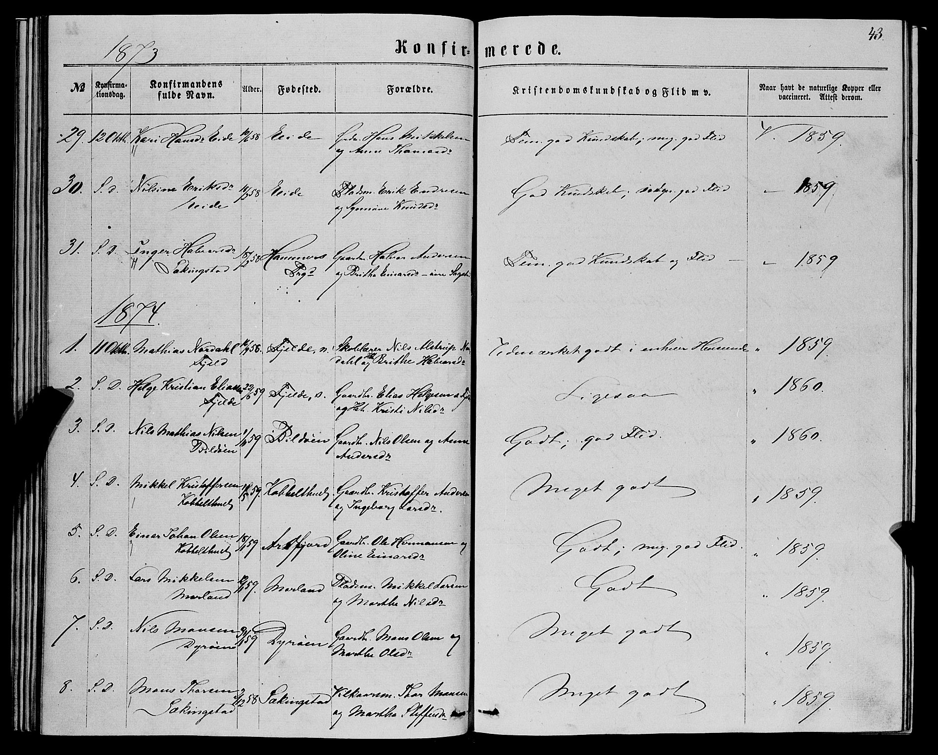 Fjell sokneprestembete, AV/SAB-A-75301/H/Haa: Parish register (official) no. A 5, 1864-1877, p. 43