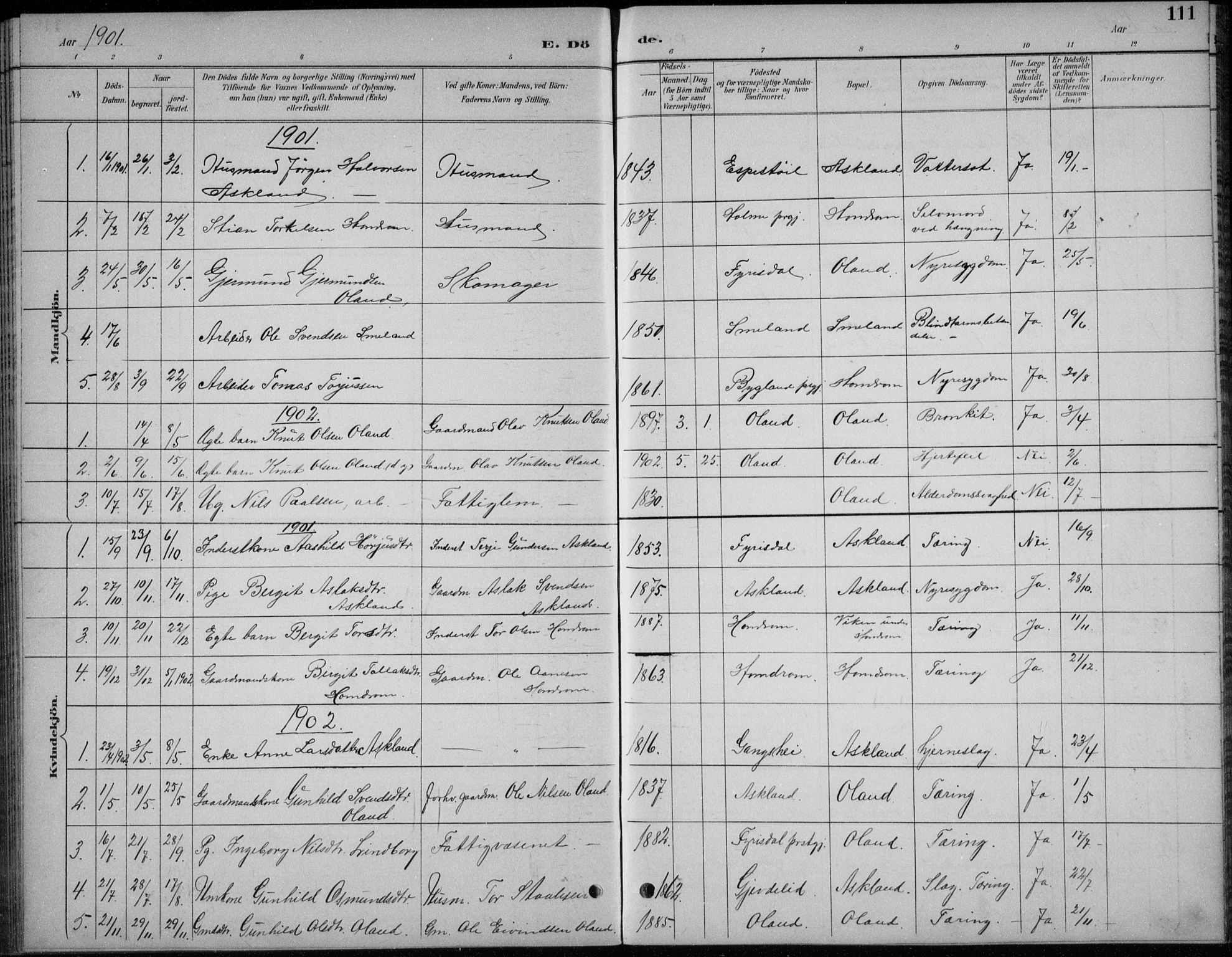 Åmli sokneprestkontor, AV/SAK-1111-0050/F/Fb/Fba/L0002: Parish register (copy) no. B 2, 1890-1912, p. 111