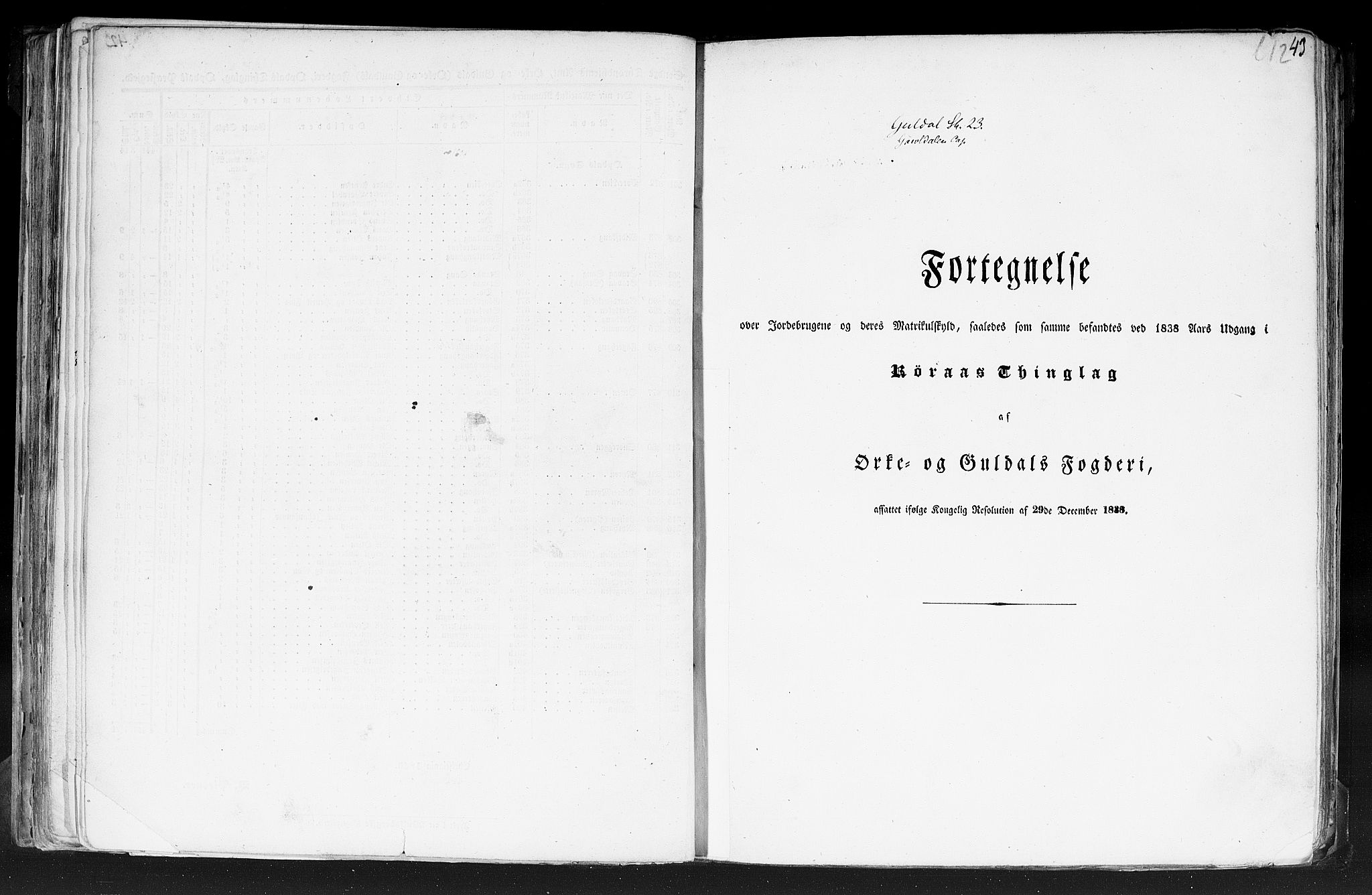 Rygh, RA/PA-0034/F/Fb/L0014: Matrikkelen for 1838 - Søndre Trondhjems amt (Sør-Trøndelag fylke), 1838, p. 43a