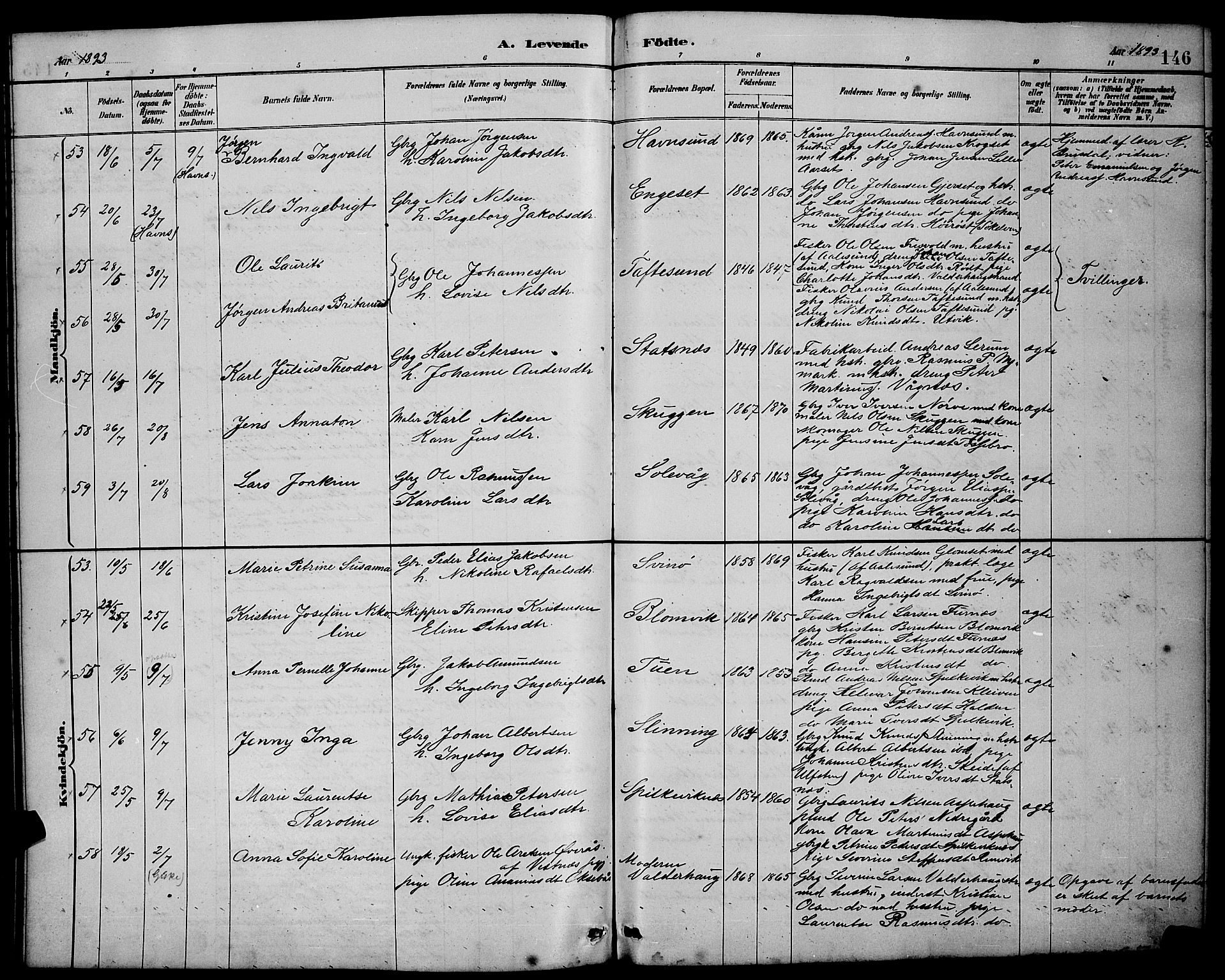 Ministerialprotokoller, klokkerbøker og fødselsregistre - Møre og Romsdal, AV/SAT-A-1454/528/L0431: Parish register (copy) no. 528C12, 1885-1898, p. 146