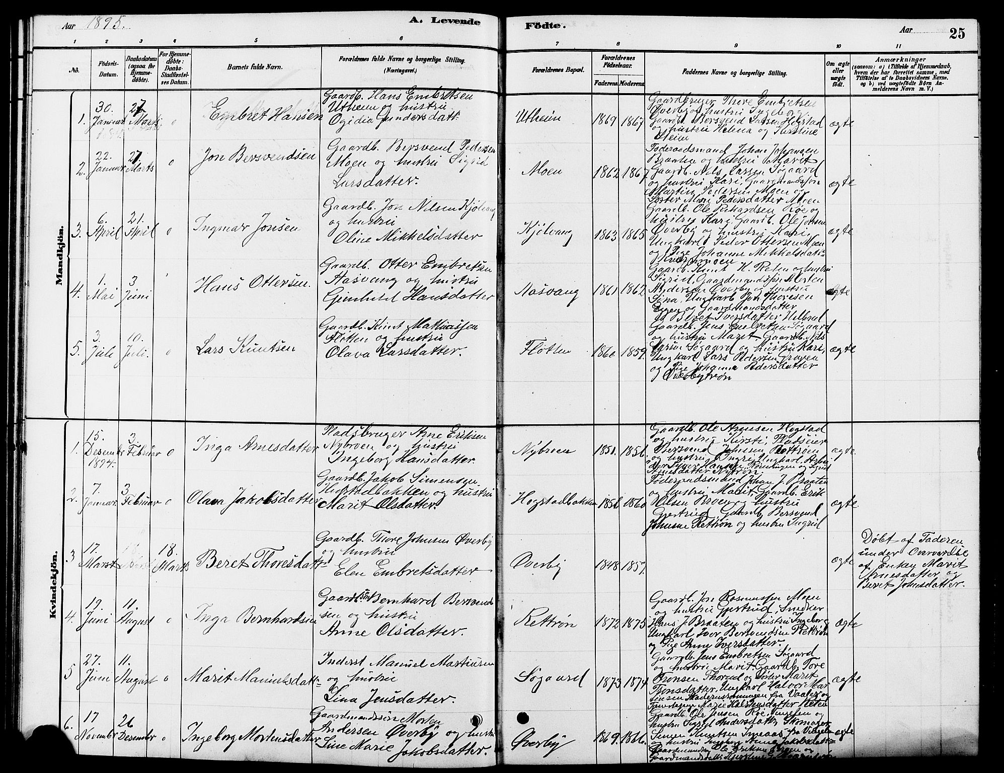 Tynset prestekontor, SAH/PREST-058/H/Ha/Hab/L0007: Parish register (copy) no. 7, 1880-1901, p. 25