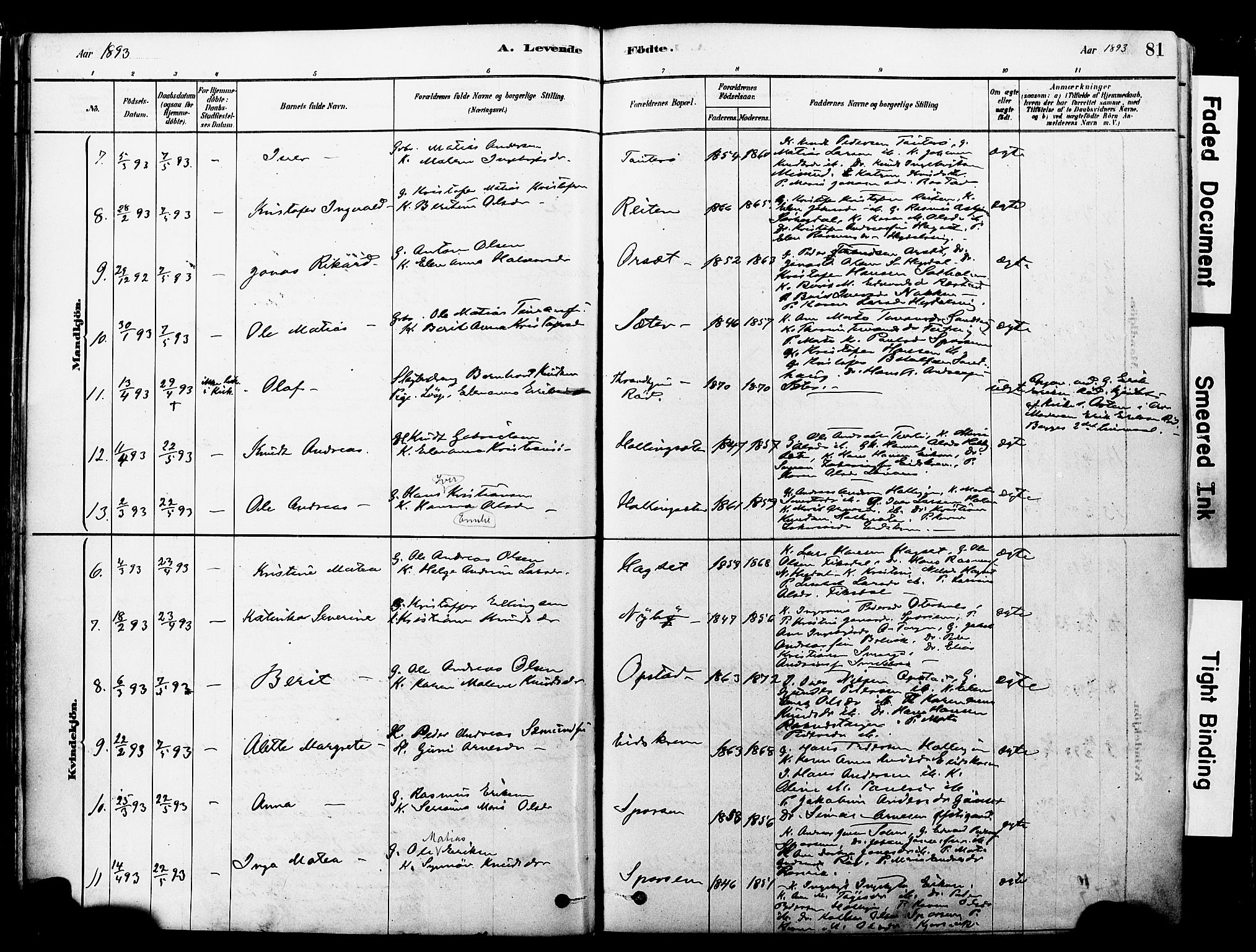 Ministerialprotokoller, klokkerbøker og fødselsregistre - Møre og Romsdal, SAT/A-1454/560/L0721: Parish register (official) no. 560A05, 1878-1917, p. 81