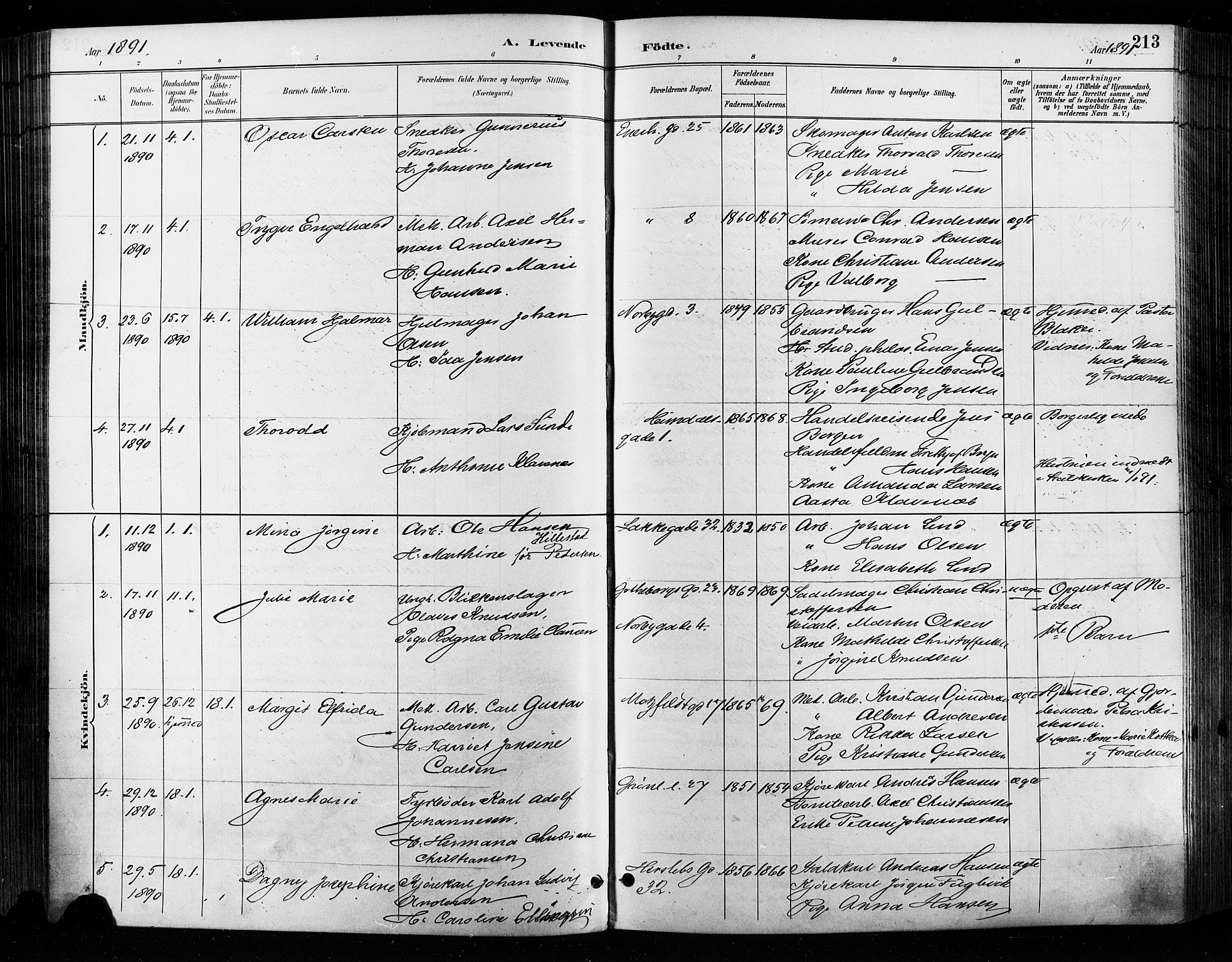 Grønland prestekontor Kirkebøker, SAO/A-10848/F/Fa/L0009: Parish register (official) no. 9, 1888-1893, p. 213