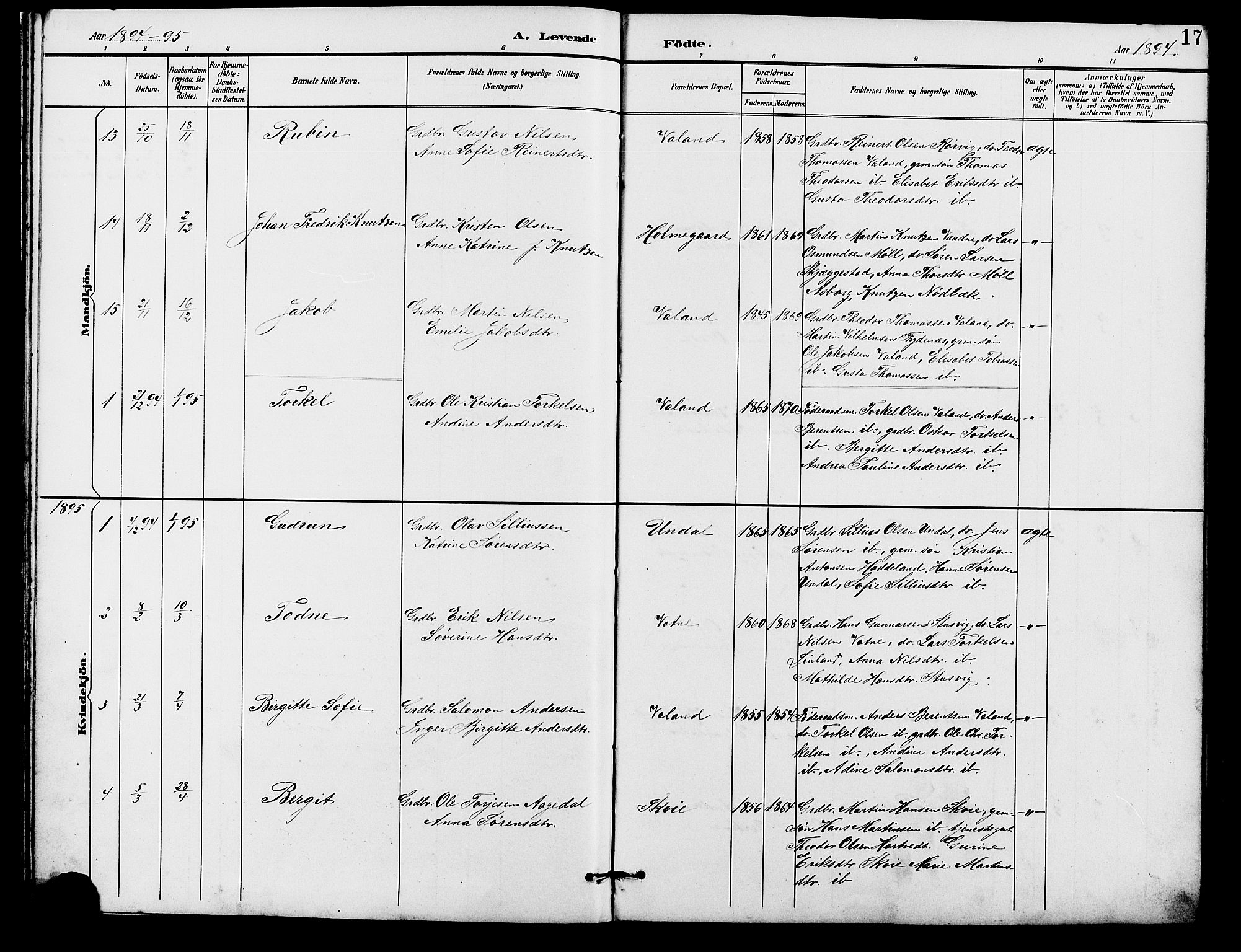 Holum sokneprestkontor, SAK/1111-0022/F/Fb/Fba/L0005: Parish register (copy) no. B 5, 1891-1909, p. 17