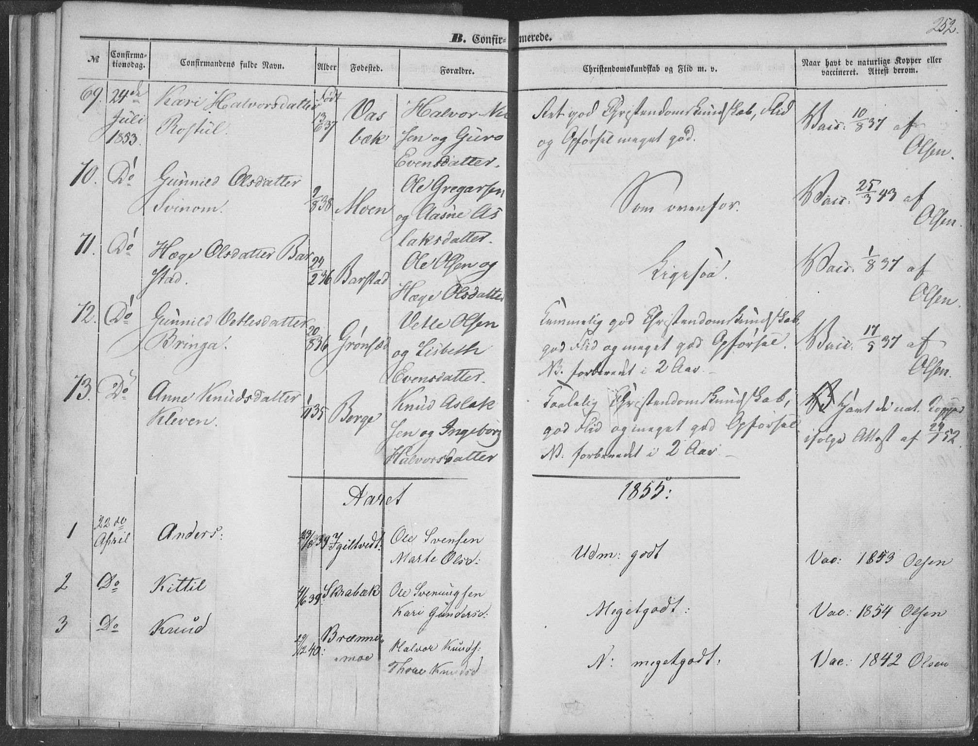 Seljord kirkebøker, AV/SAKO-A-20/F/Fa/L012b: Parish register (official) no. I 12B, 1850-1865, p. 252