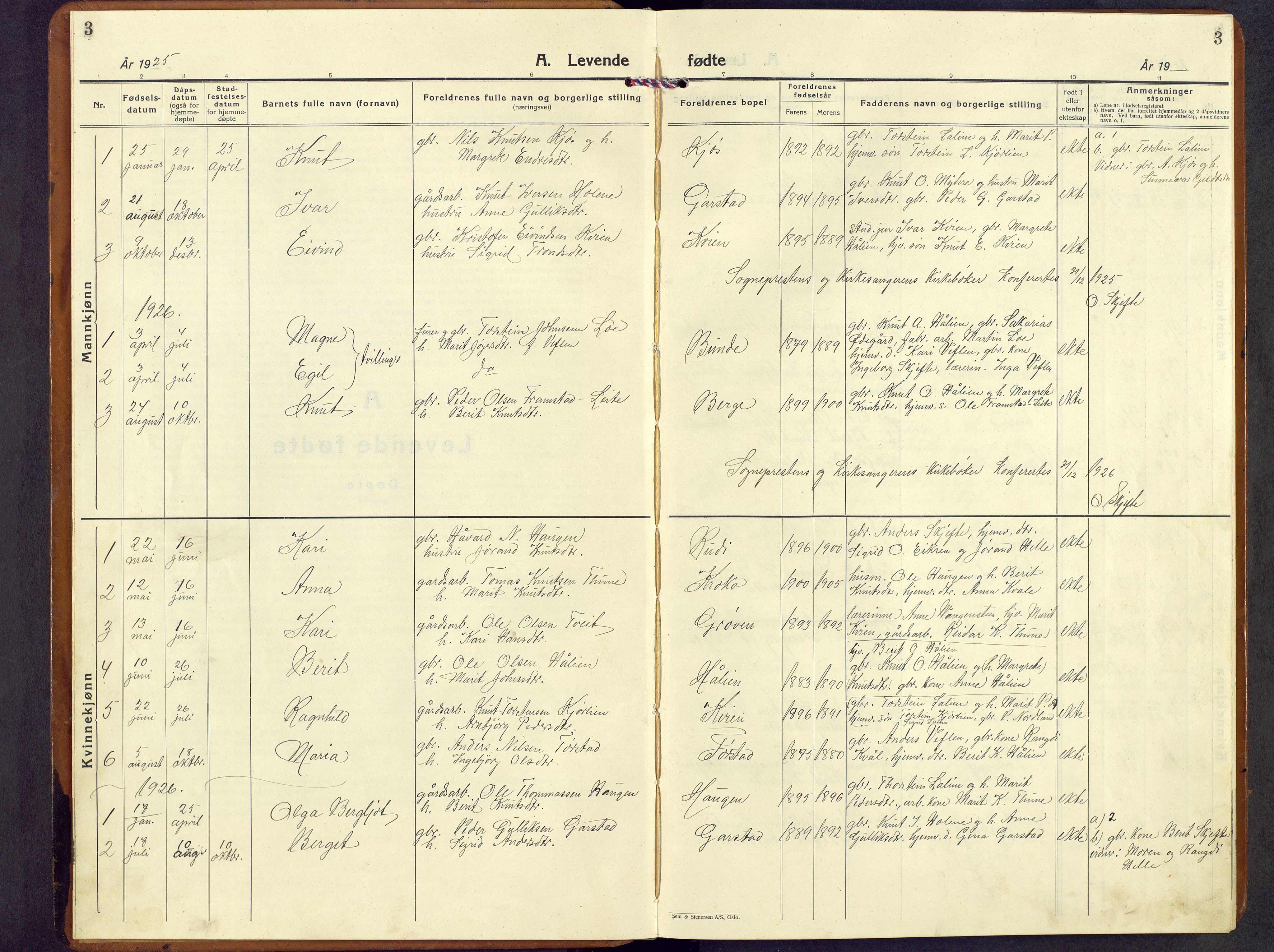 Vang prestekontor, Valdres, SAH/PREST-140/H/Hb/L0008: Parish register (copy) no. 8, 1925-1967, p. 3