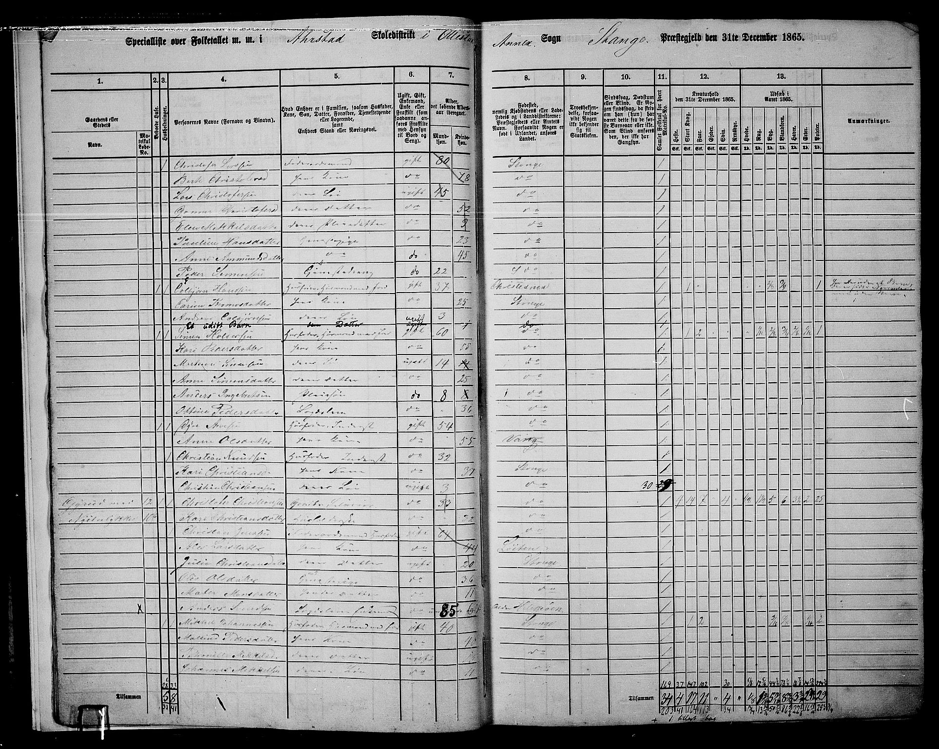 RA, 1865 census for Stange, 1865, p. 11