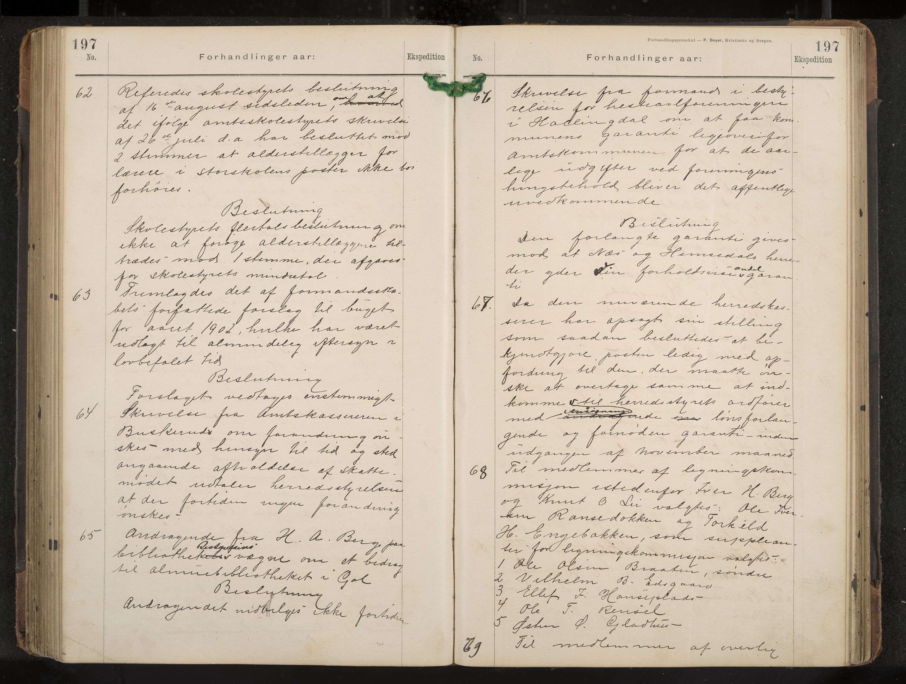 Gol formannskap og sentraladministrasjon, IKAK/0617021-1/A/Aa/L0003: Møtebok, 1892-1905, p. 197