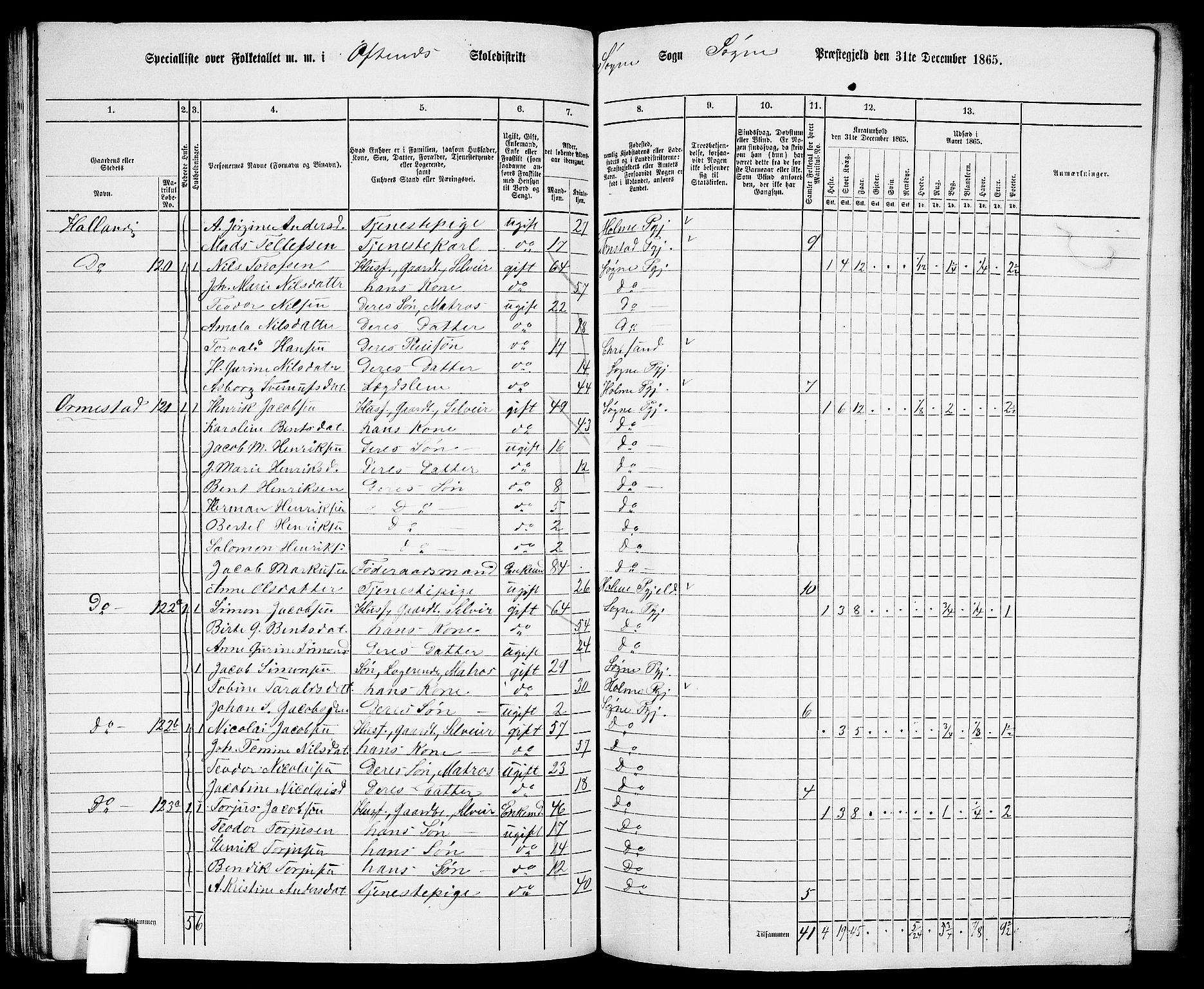 RA, 1865 census for Søgne, 1865, p. 81