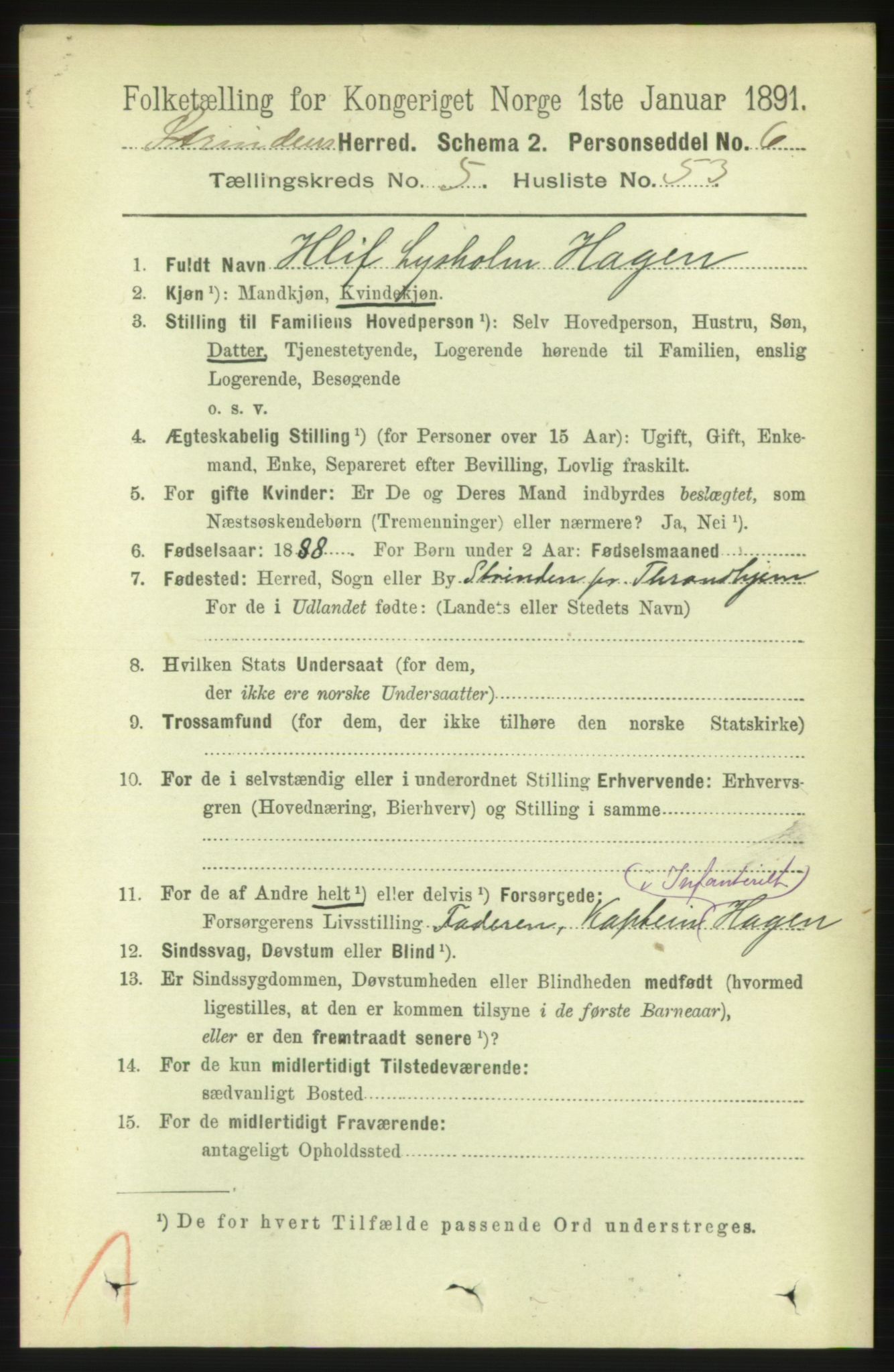 RA, 1891 census for 1660 Strinda, 1891, p. 5005