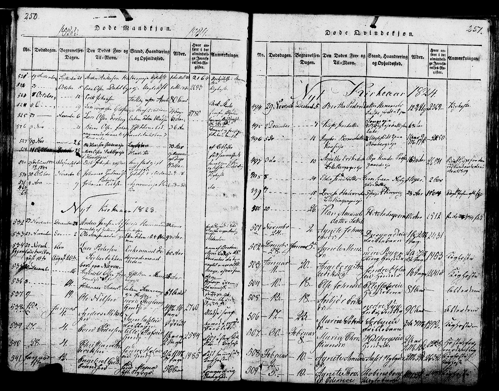 Ringsaker prestekontor, SAH/PREST-014/K/Ka/L0005: Parish register (official) no. 5, 1814-1826, p. 250-251