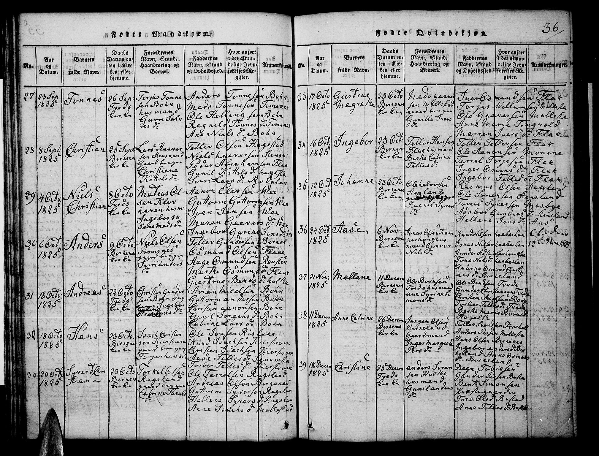 Tveit sokneprestkontor, AV/SAK-1111-0043/F/Fb/L0001: Parish register (copy) no. B 1, 1820-1834, p. 36