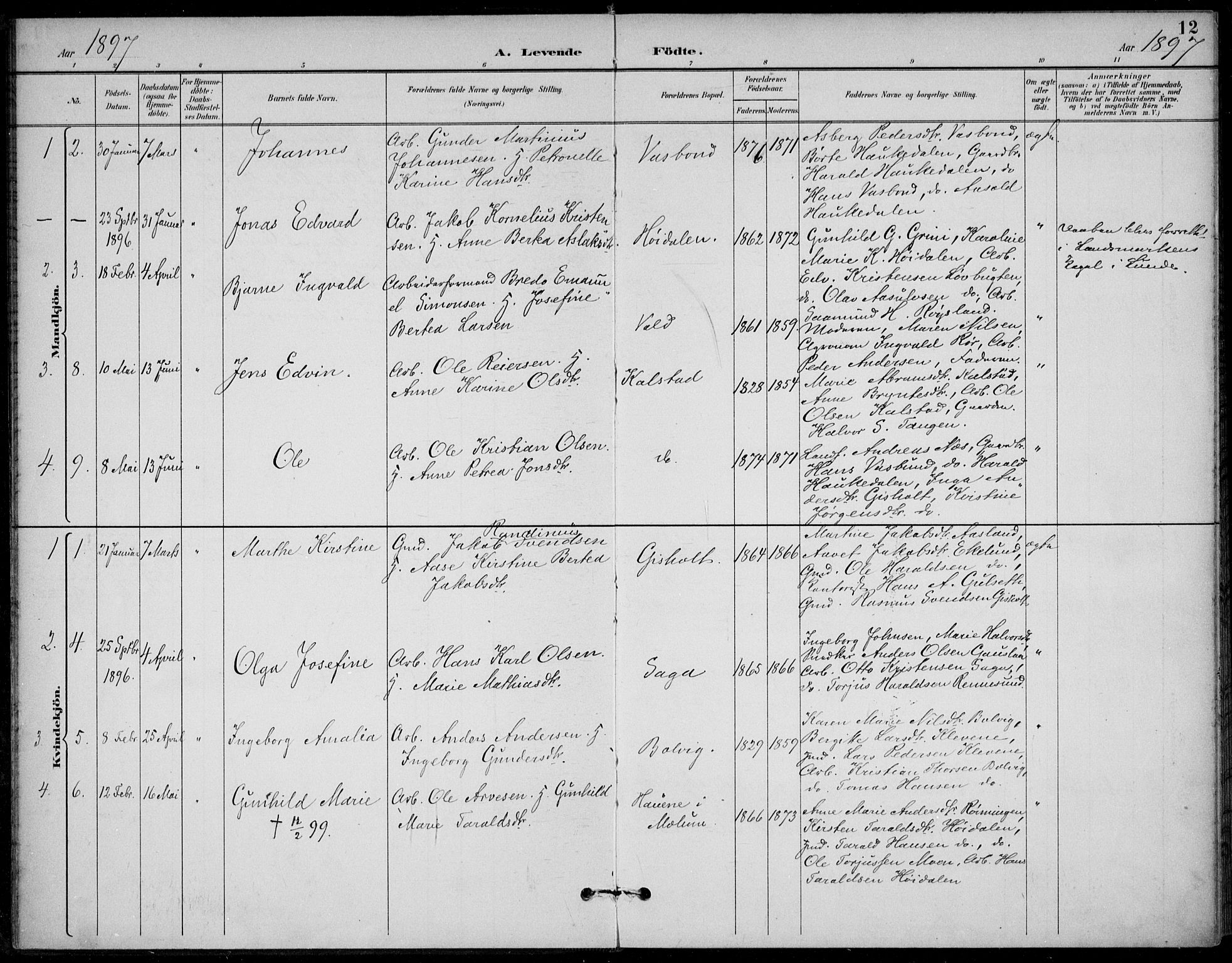 Solum kirkebøker, AV/SAKO-A-306/F/Fc/L0002: Parish register (official) no. III 2, 1892-1906, p. 12