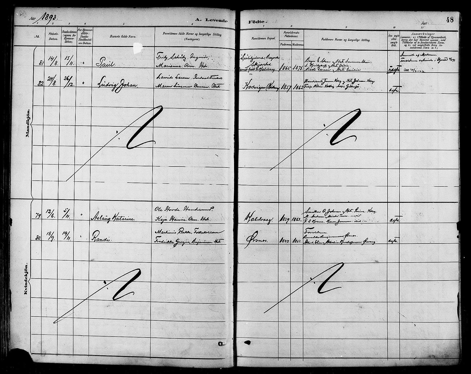 Ministerialprotokoller, klokkerbøker og fødselsregistre - Nordland, AV/SAT-A-1459/874/L1060: Parish register (official) no. 874A04, 1890-1899, p. 48