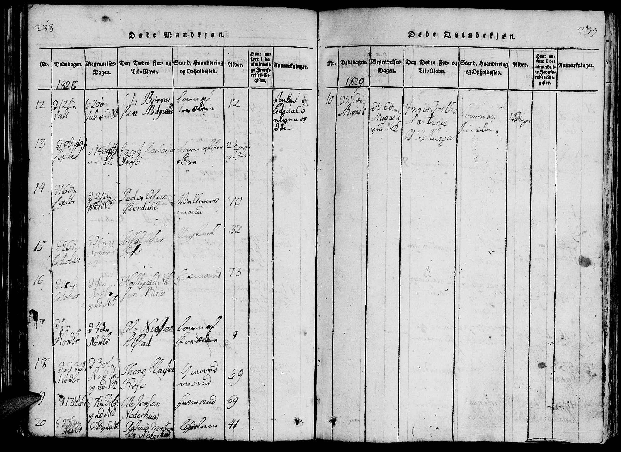 Ministerialprotokoller, klokkerbøker og fødselsregistre - Møre og Romsdal, AV/SAT-A-1454/519/L0260: Parish register (copy) no. 519C01, 1817-1829, p. 238-239