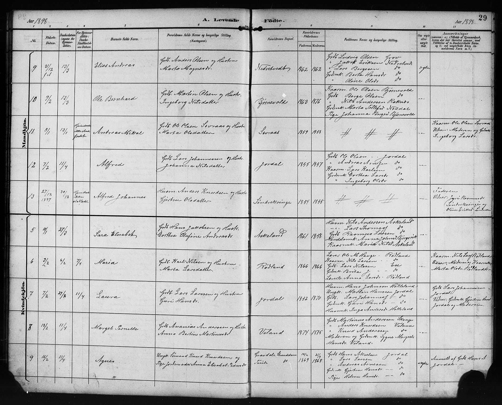 Lindås Sokneprestembete, AV/SAB-A-76701/H/Hab/Habe/L0003: Parish register (copy) no. E 3, 1892-1905, p. 29