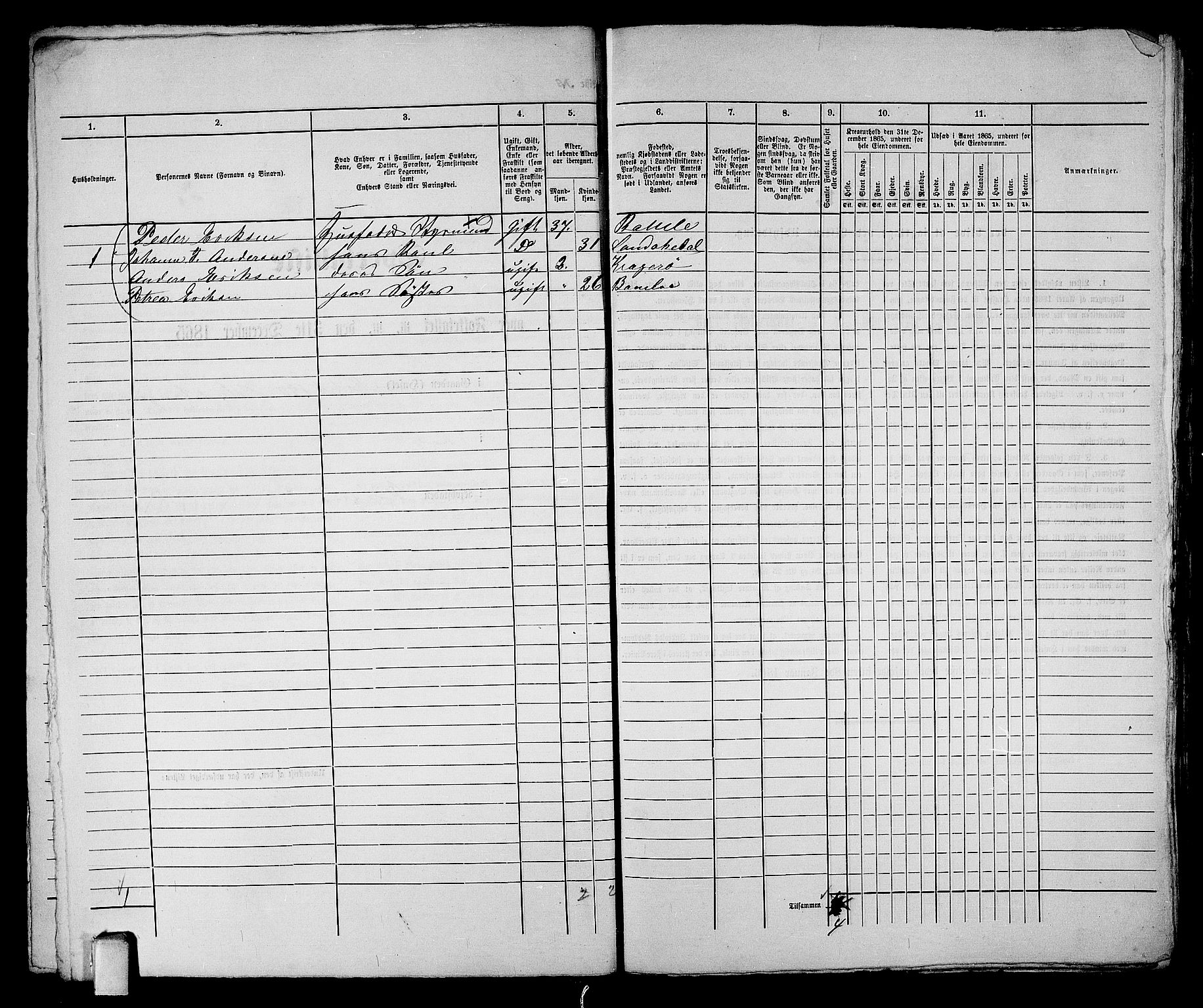 RA, 1865 census for Kragerø/Kragerø, 1865, p. 537