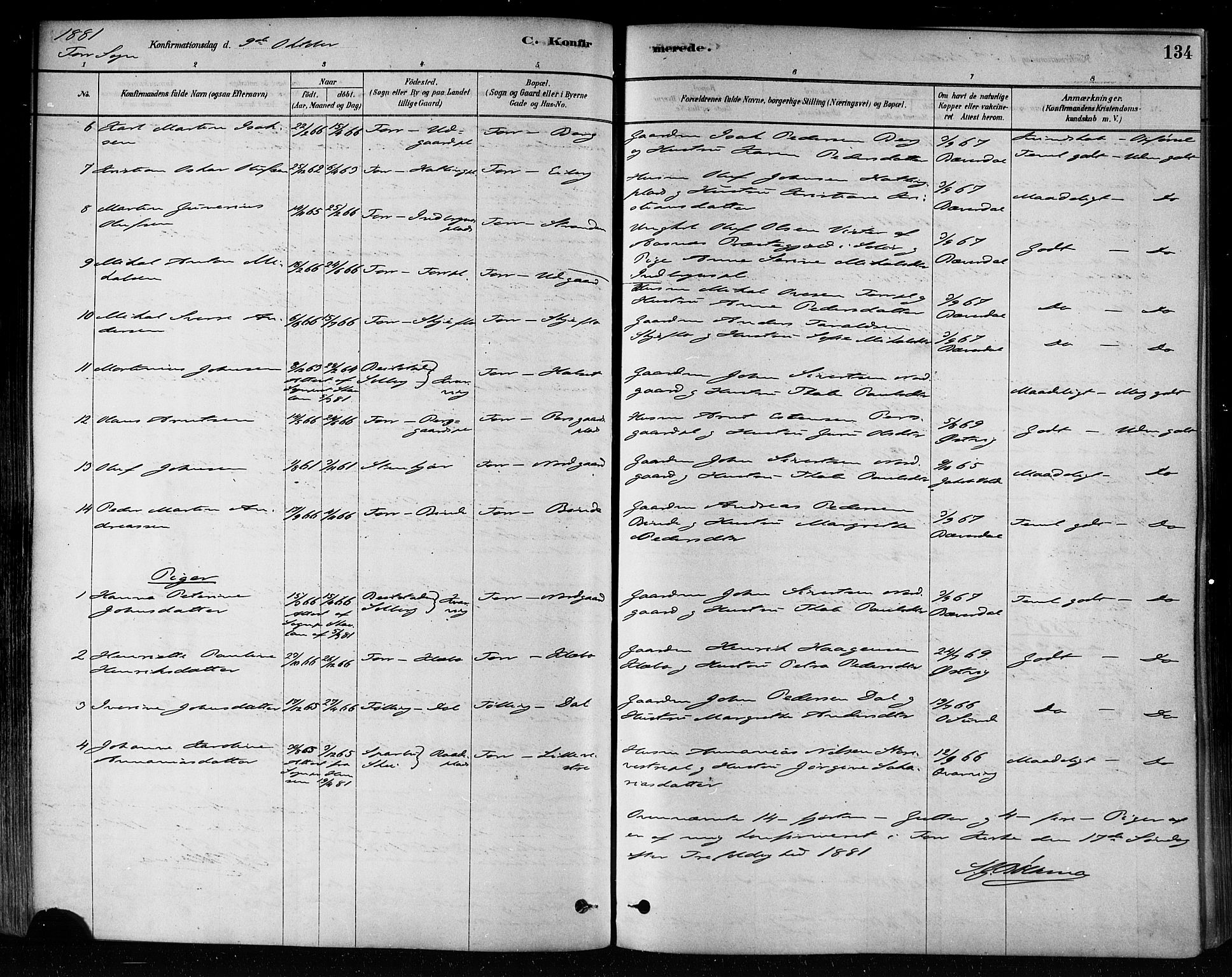 Ministerialprotokoller, klokkerbøker og fødselsregistre - Nord-Trøndelag, AV/SAT-A-1458/746/L0448: Parish register (official) no. 746A07 /1, 1878-1900, p. 134