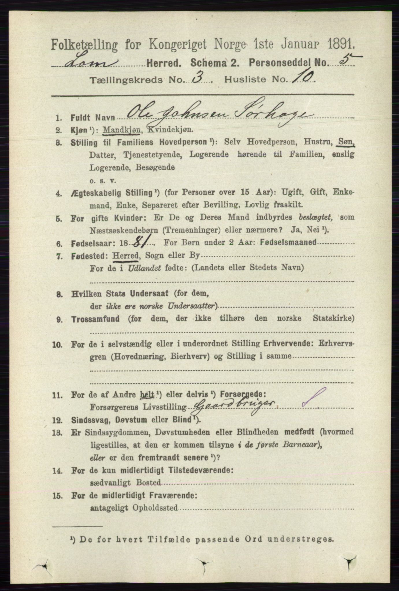 RA, 1891 census for 0514 Lom, 1891, p. 1310