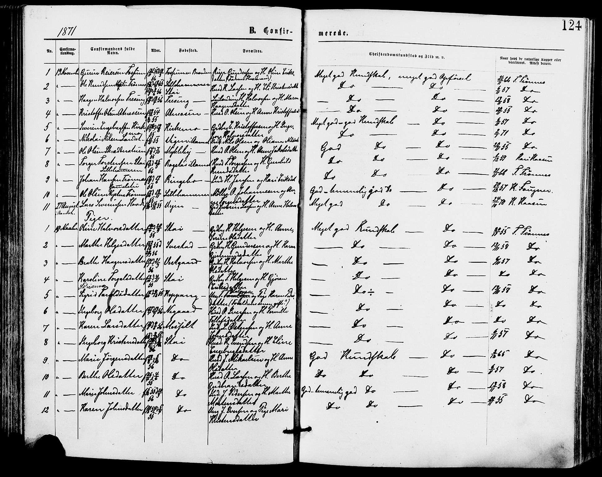 Stor-Elvdal prestekontor, SAH/PREST-052/H/Ha/Haa/L0001: Parish register (official) no. 1, 1871-1882, p. 124