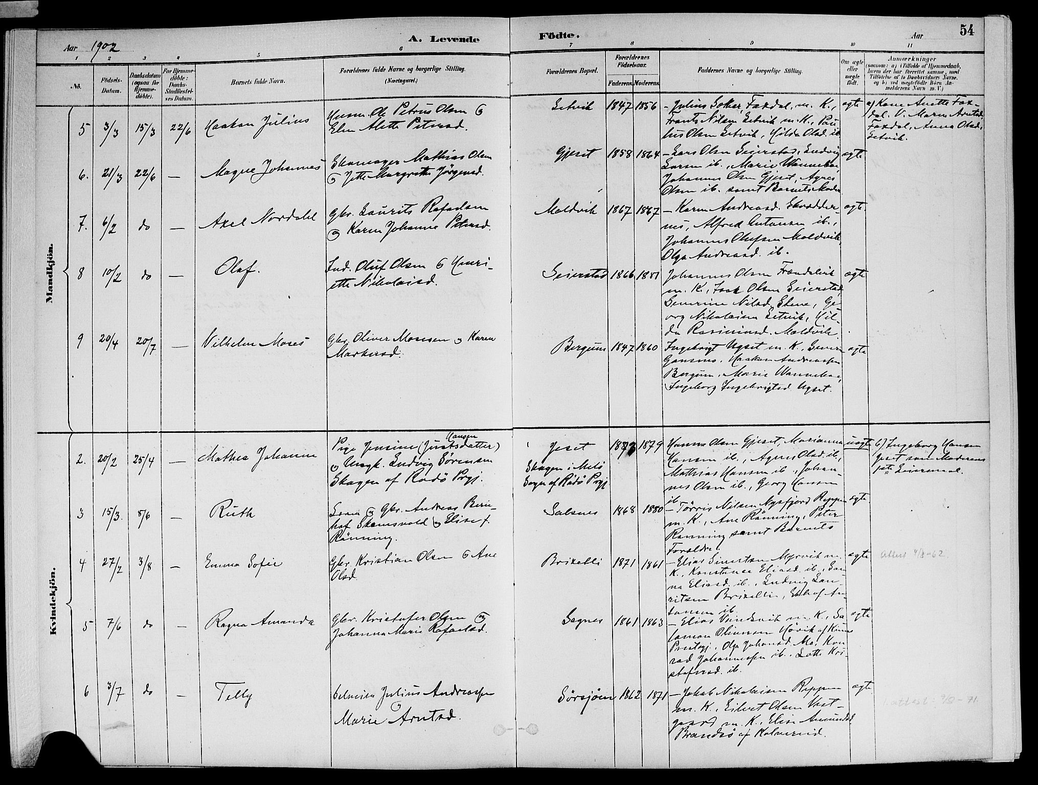 Ministerialprotokoller, klokkerbøker og fødselsregistre - Nord-Trøndelag, AV/SAT-A-1458/773/L0617: Parish register (official) no. 773A08, 1887-1910, p. 54