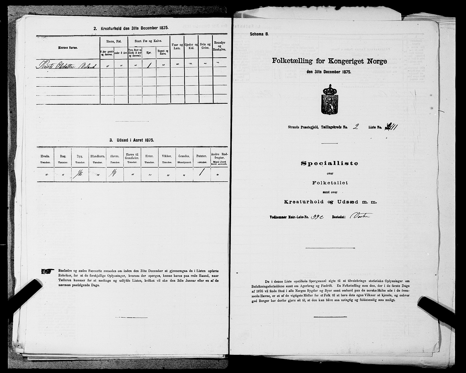 SAST, 1875 census for 1130P Strand, 1875, p. 242