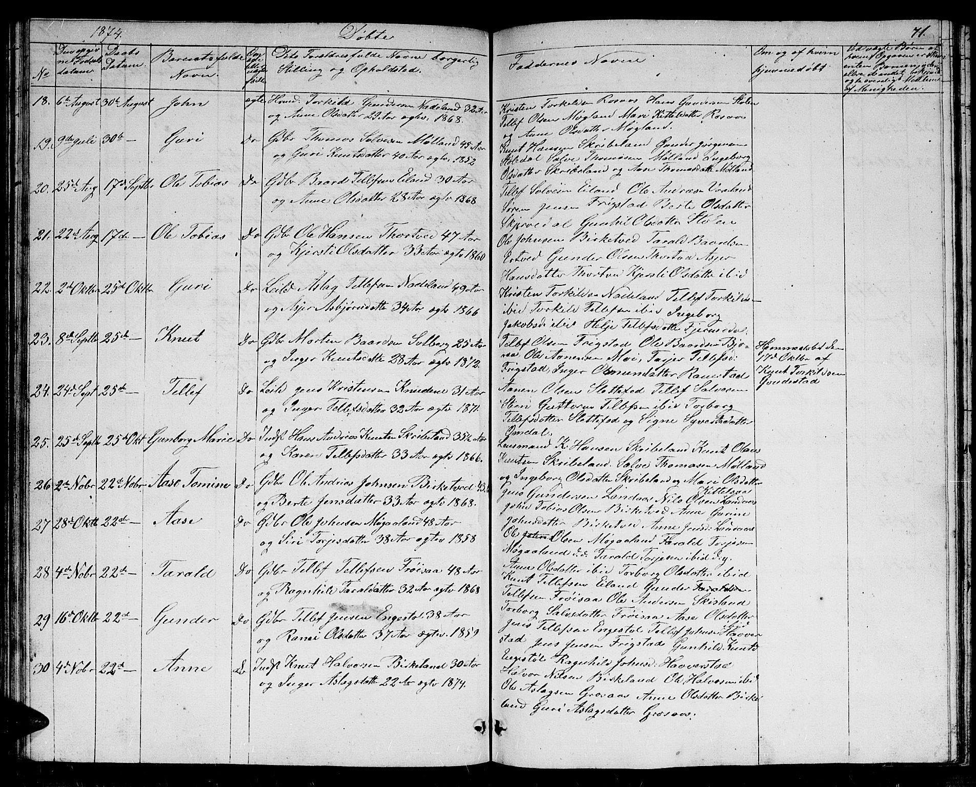 Evje sokneprestkontor, AV/SAK-1111-0008/F/Fb/Fbc/L0002: Parish register (copy) no. B 2, 1849-1876, p. 71