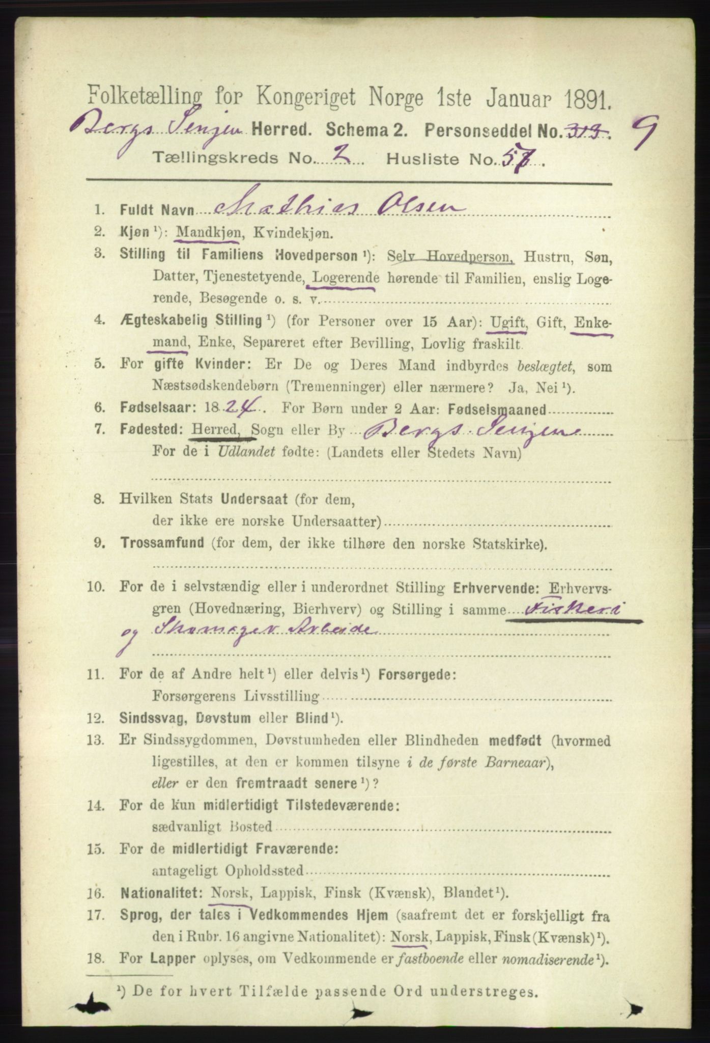 RA, 1891 census for 1929 Berg, 1891, p. 968