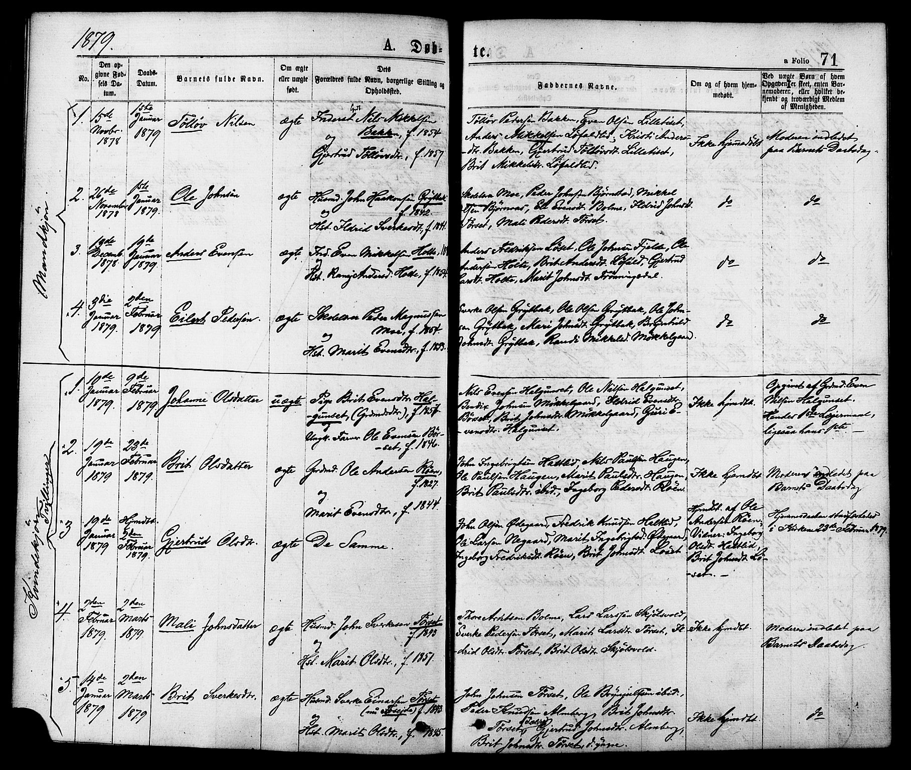 Ministerialprotokoller, klokkerbøker og fødselsregistre - Møre og Romsdal, AV/SAT-A-1454/598/L1068: Parish register (official) no. 598A02, 1872-1881, p. 71