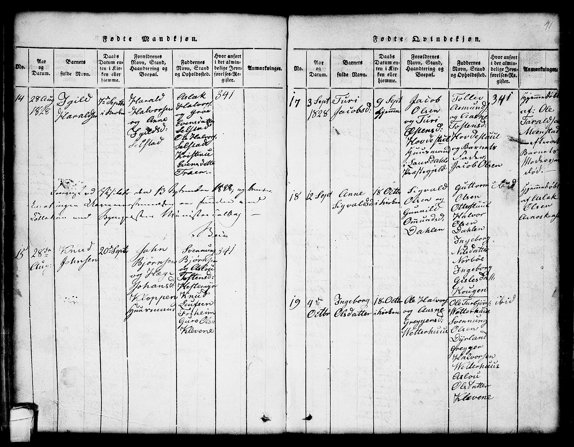 Seljord kirkebøker, SAKO/A-20/G/Gc/L0001: Parish register (copy) no. III 1, 1815-1849, p. 41