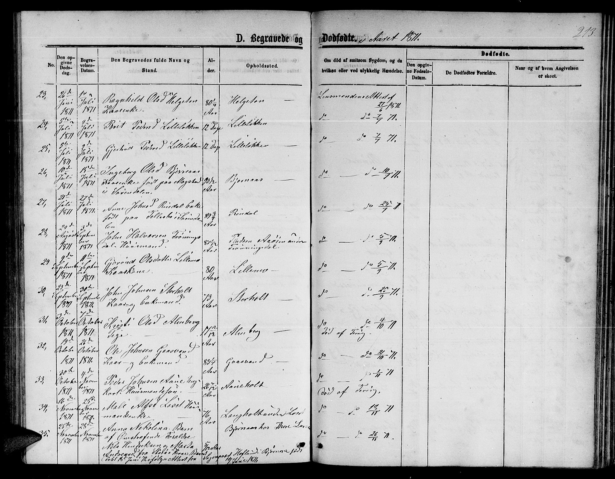 Ministerialprotokoller, klokkerbøker og fødselsregistre - Møre og Romsdal, AV/SAT-A-1454/598/L1076: Parish register (copy) no. 598C01, 1867-1878, p. 213