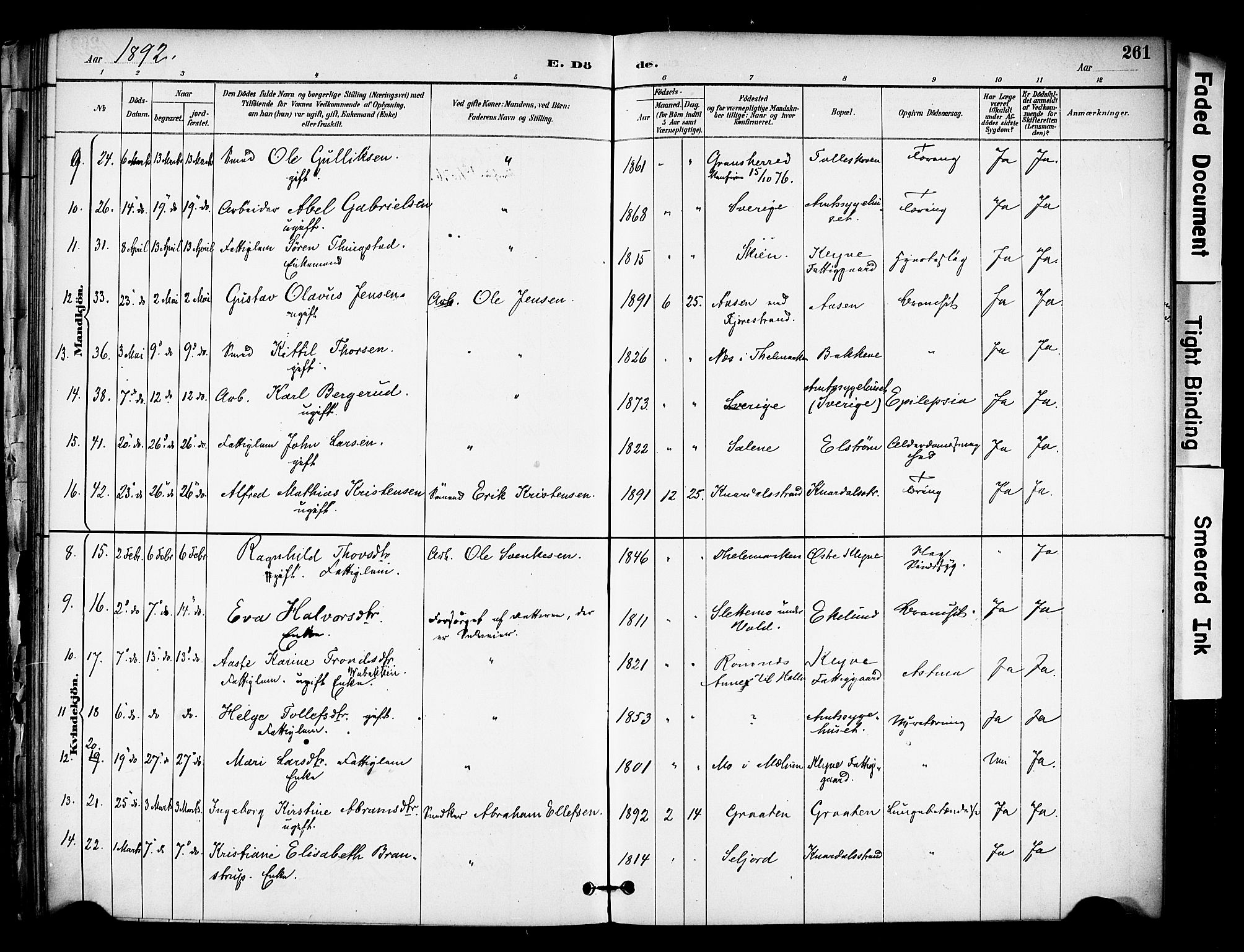 Solum kirkebøker, SAKO/A-306/F/Fa/L0010: Parish register (official) no. I 10, 1888-1898, p. 261