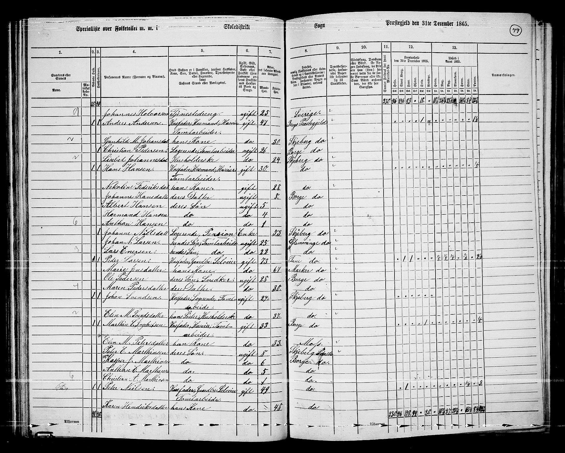 RA, 1865 census for Borge, 1865, p. 74