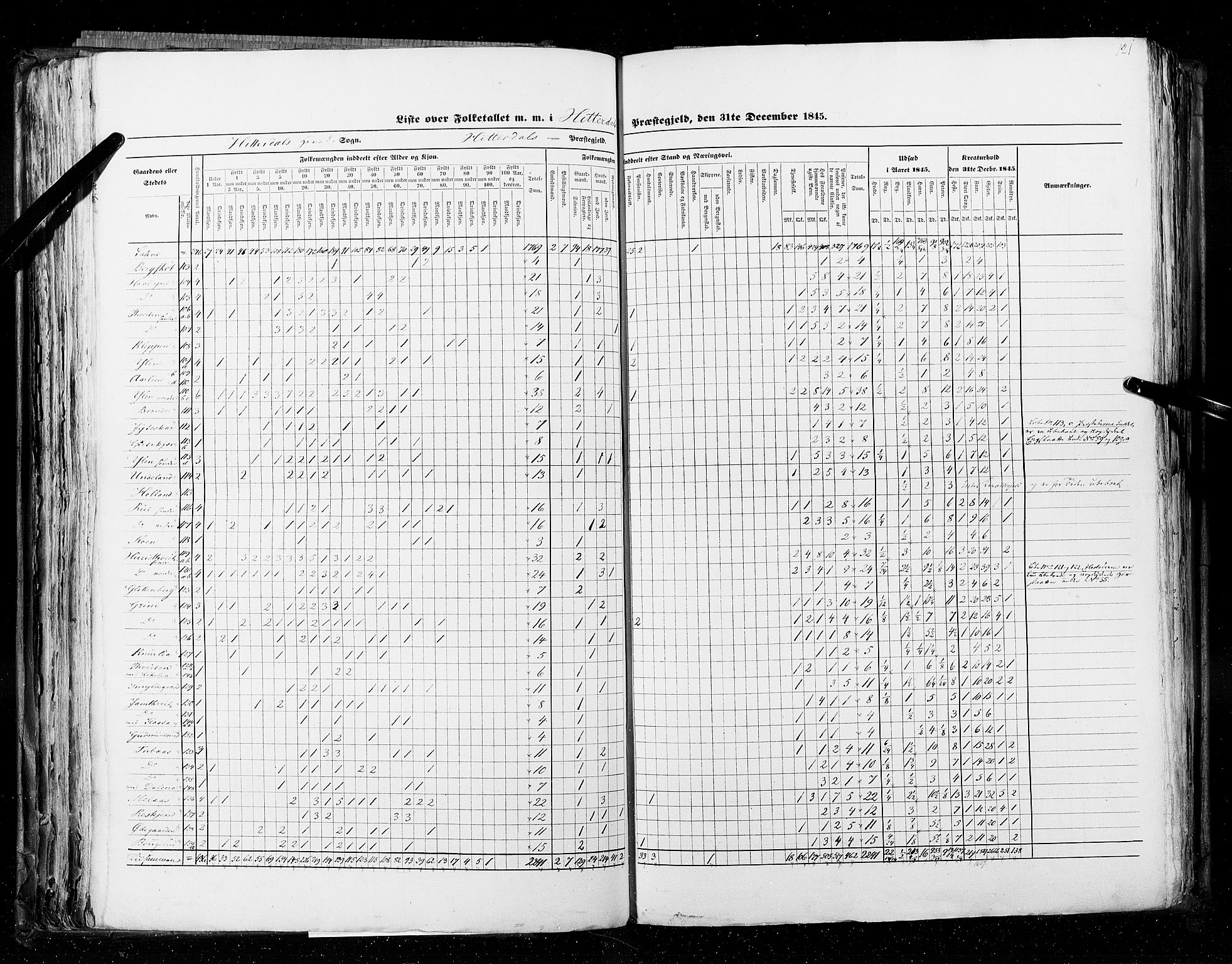 RA, Census 1845, vol. 5: Bratsberg amt og Nedenes og Råbyggelaget amt, 1845, p. 121