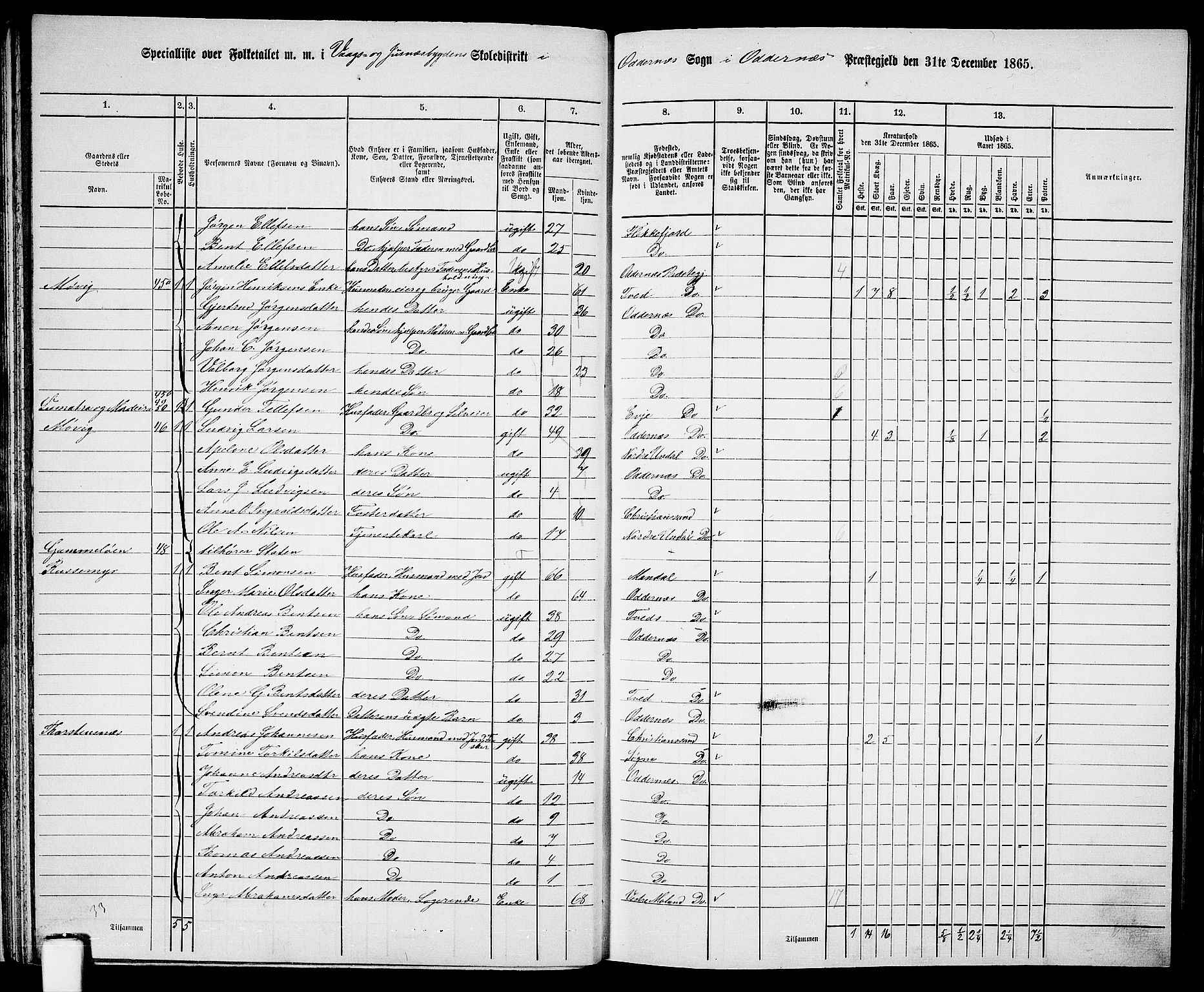 RA, 1865 census for Oddernes, 1865, p. 38