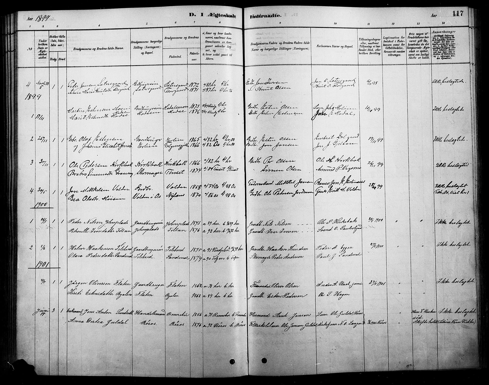 Tolga prestekontor, SAH/PREST-062/L/L0007: Parish register (copy) no. 7, 1878-1919, p. 117