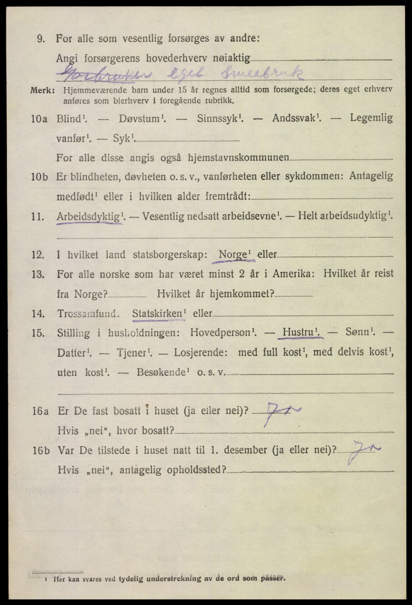 SAK, 1920 census for Hornnes, 1920, p. 562