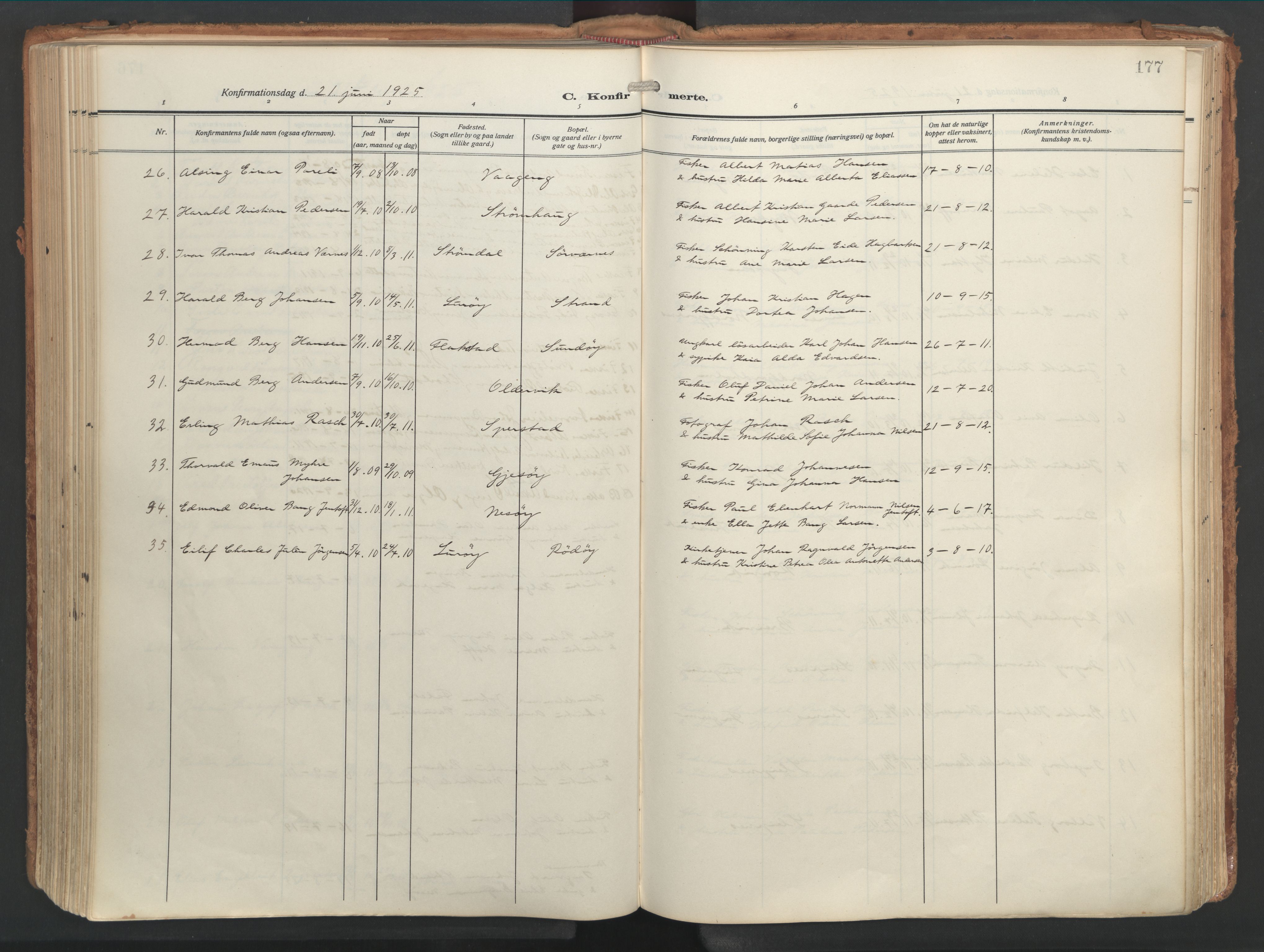 Ministerialprotokoller, klokkerbøker og fødselsregistre - Nordland, AV/SAT-A-1459/841/L0614: Parish register (official) no. 841A17, 1911-1925, p. 177