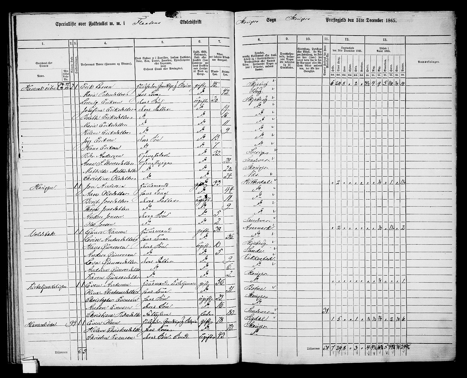 RA, 1865 census for Skoger, 1865, p. 74