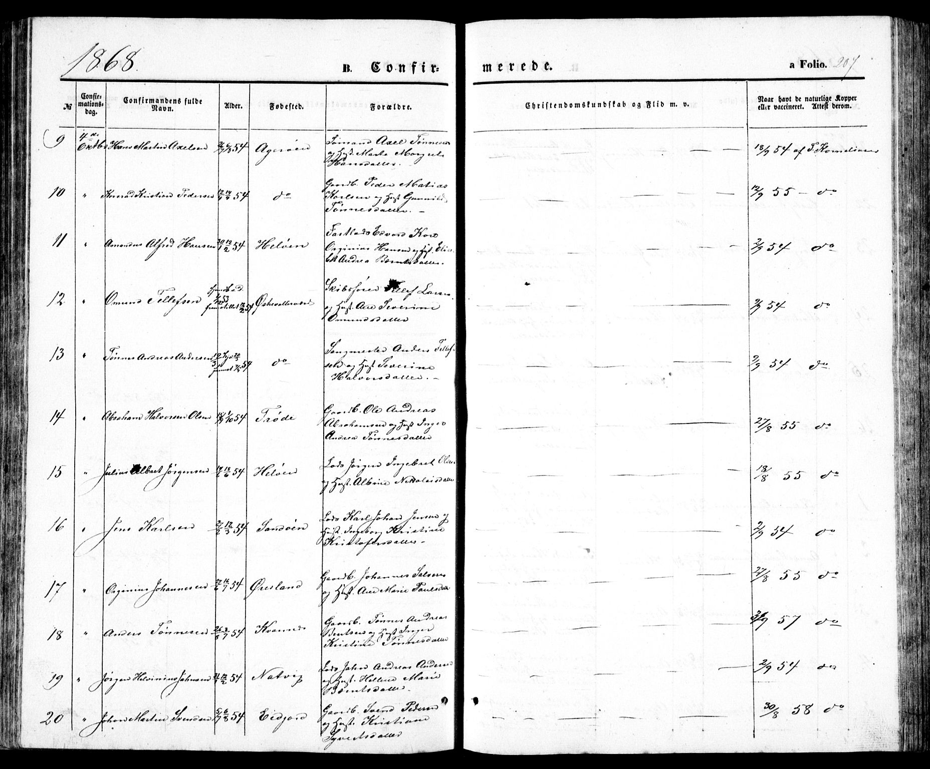 Høvåg sokneprestkontor, AV/SAK-1111-0025/F/Fb/L0002: Parish register (copy) no. B 2, 1847-1869, p. 207