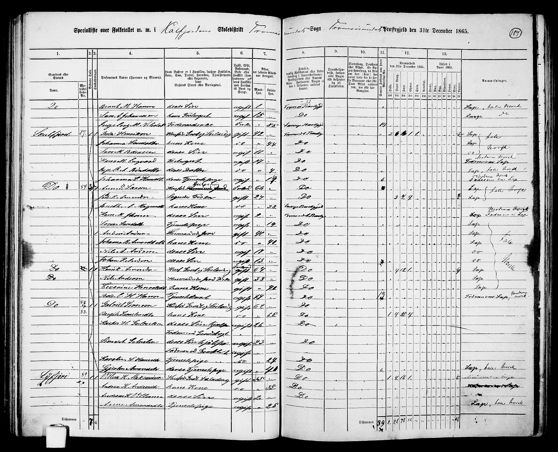 RA, 1865 census for Tromsøysund, 1865, p. 91