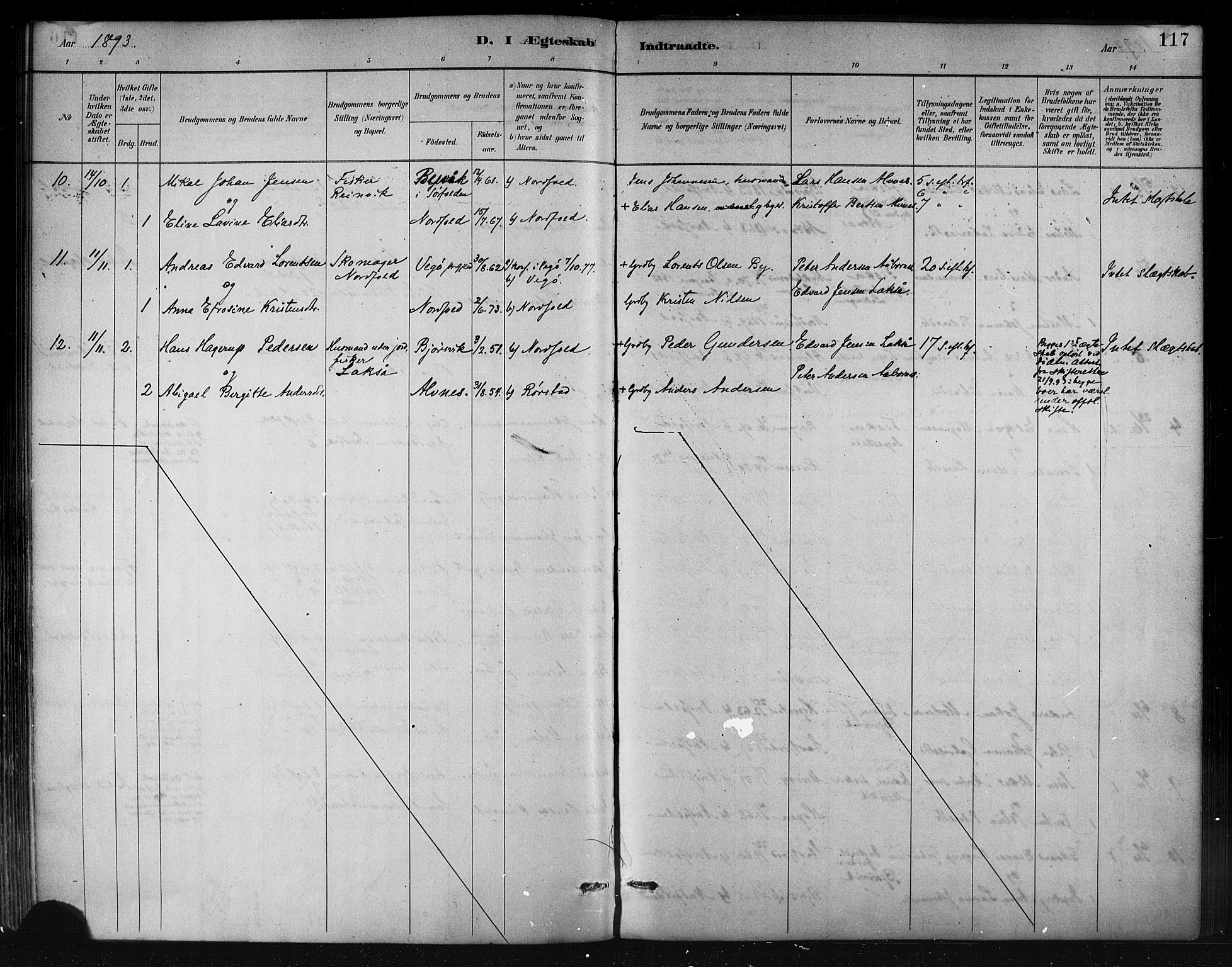 Ministerialprotokoller, klokkerbøker og fødselsregistre - Nordland, AV/SAT-A-1459/858/L0831: Parish register (official) no. 858A01, 1884-1902, p. 117